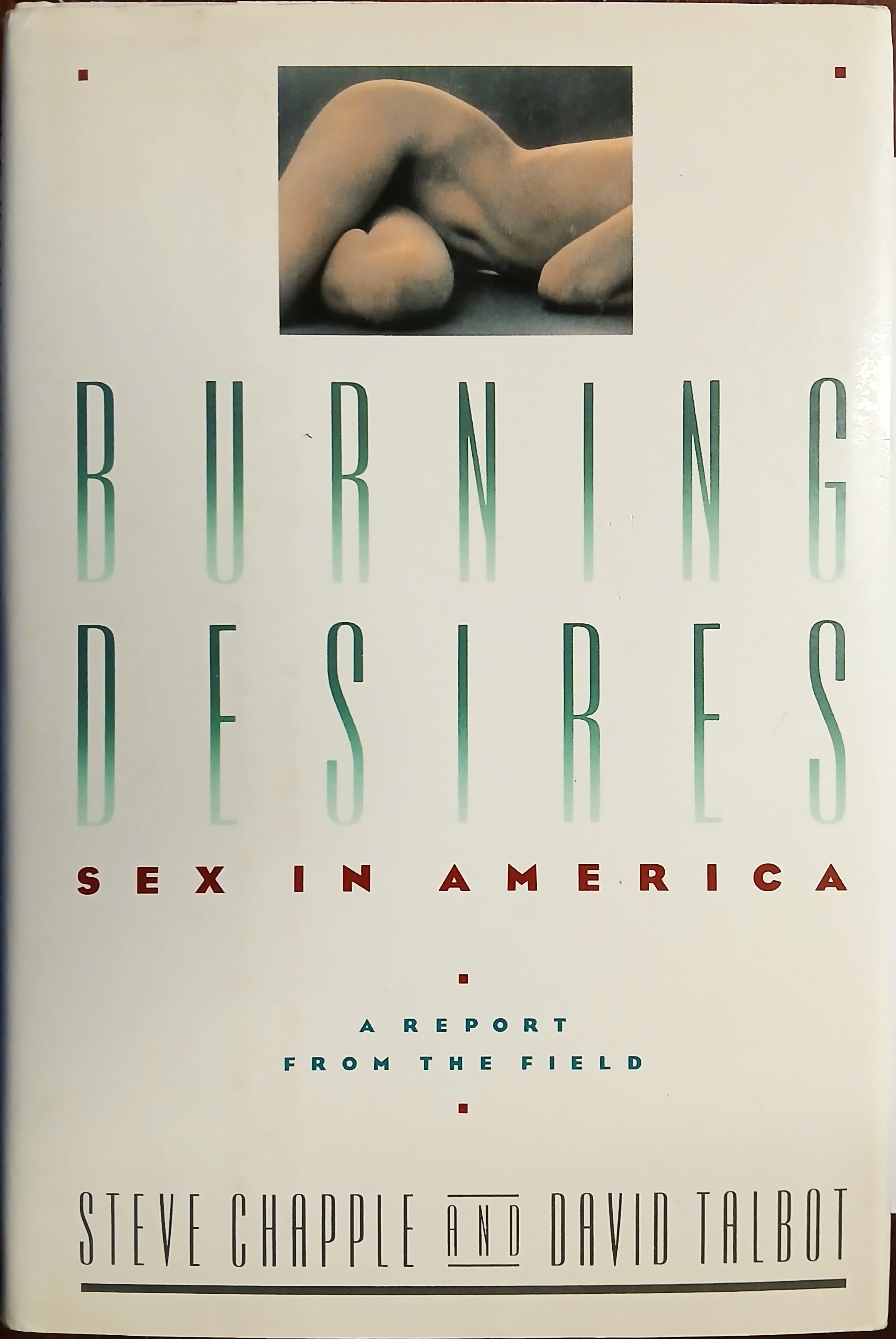Burning Desires : Sex in Amercia - A Report from the Field