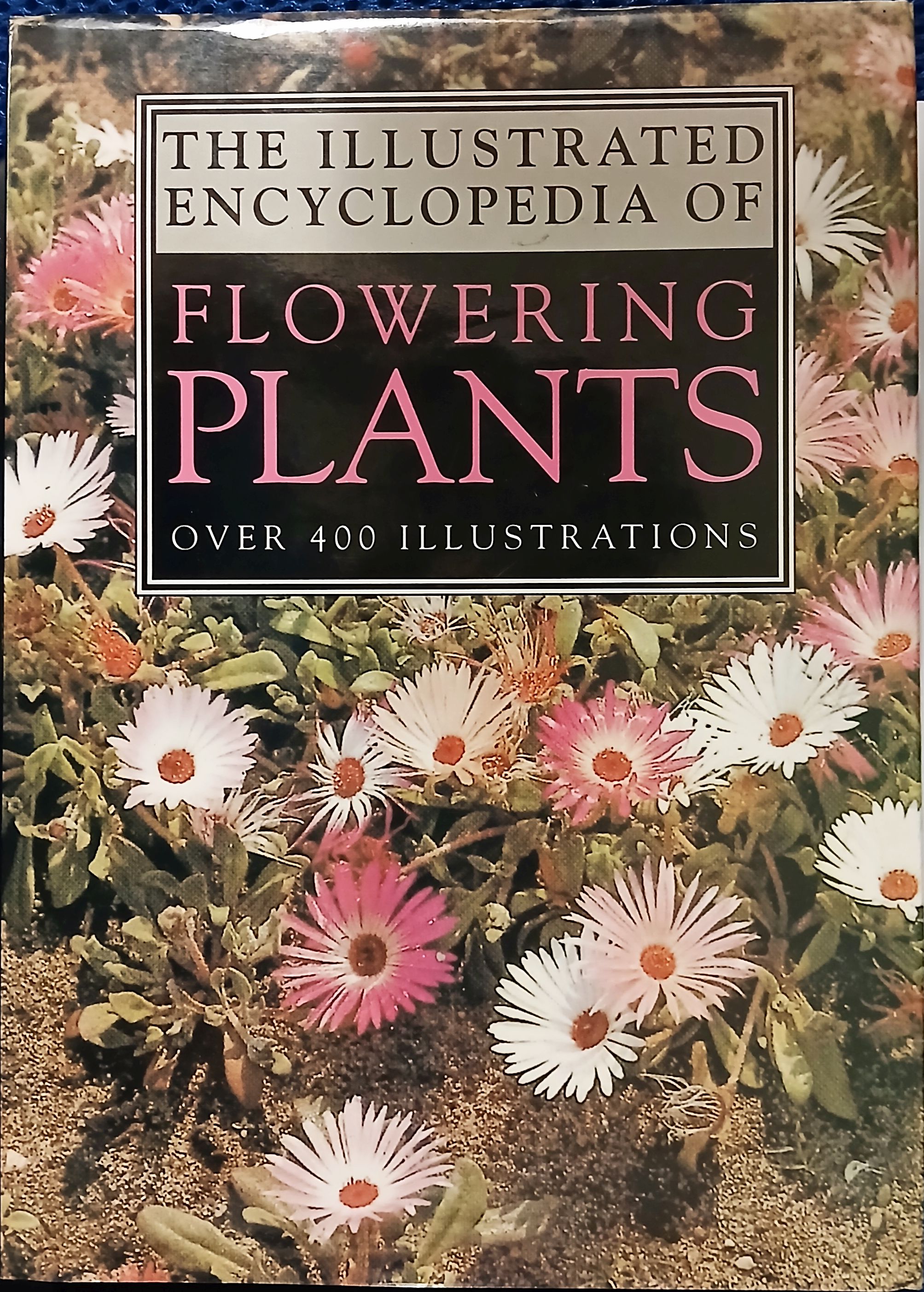The Illustrated Encyclopedia of Flowering Plants