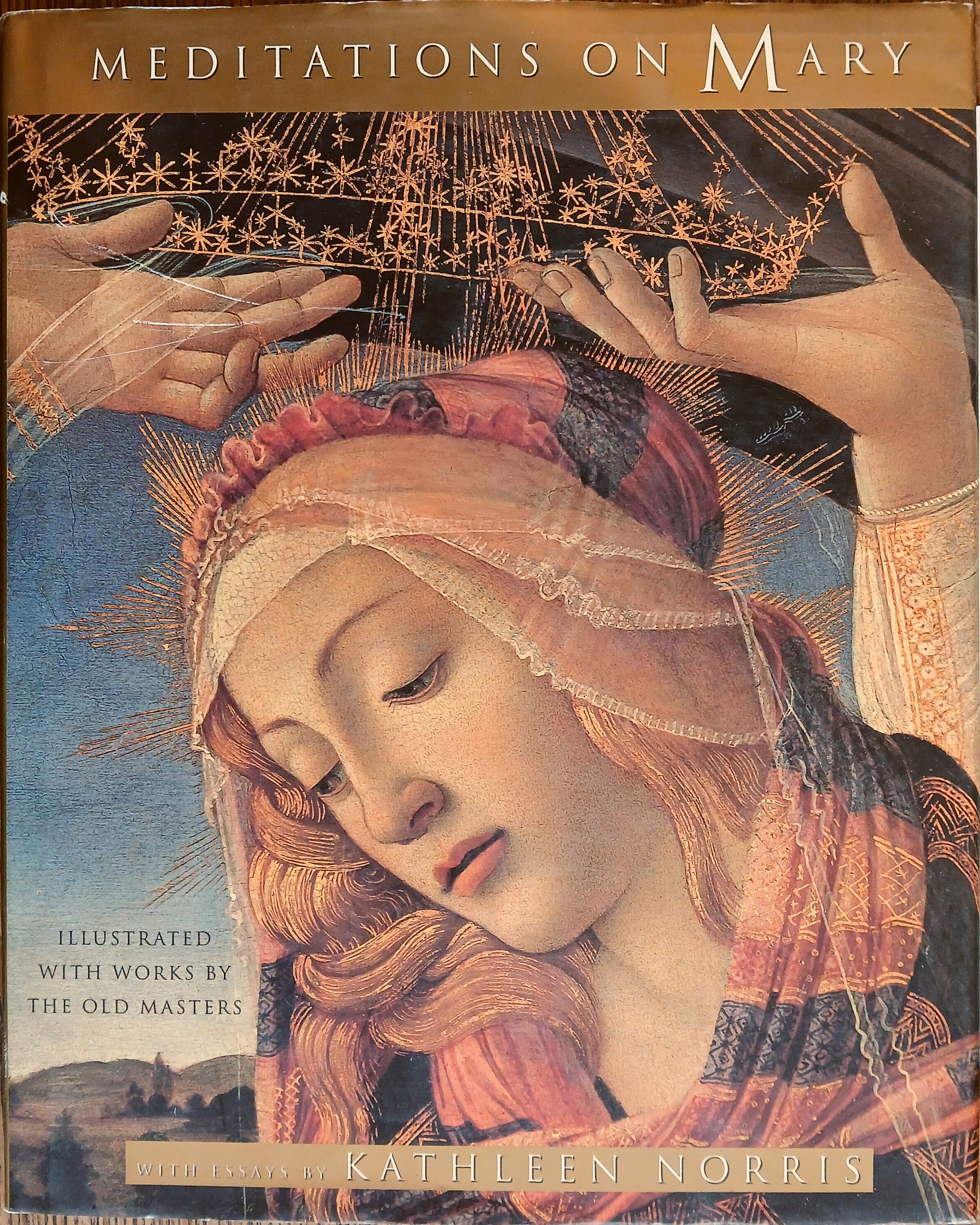 Meditations on Mary