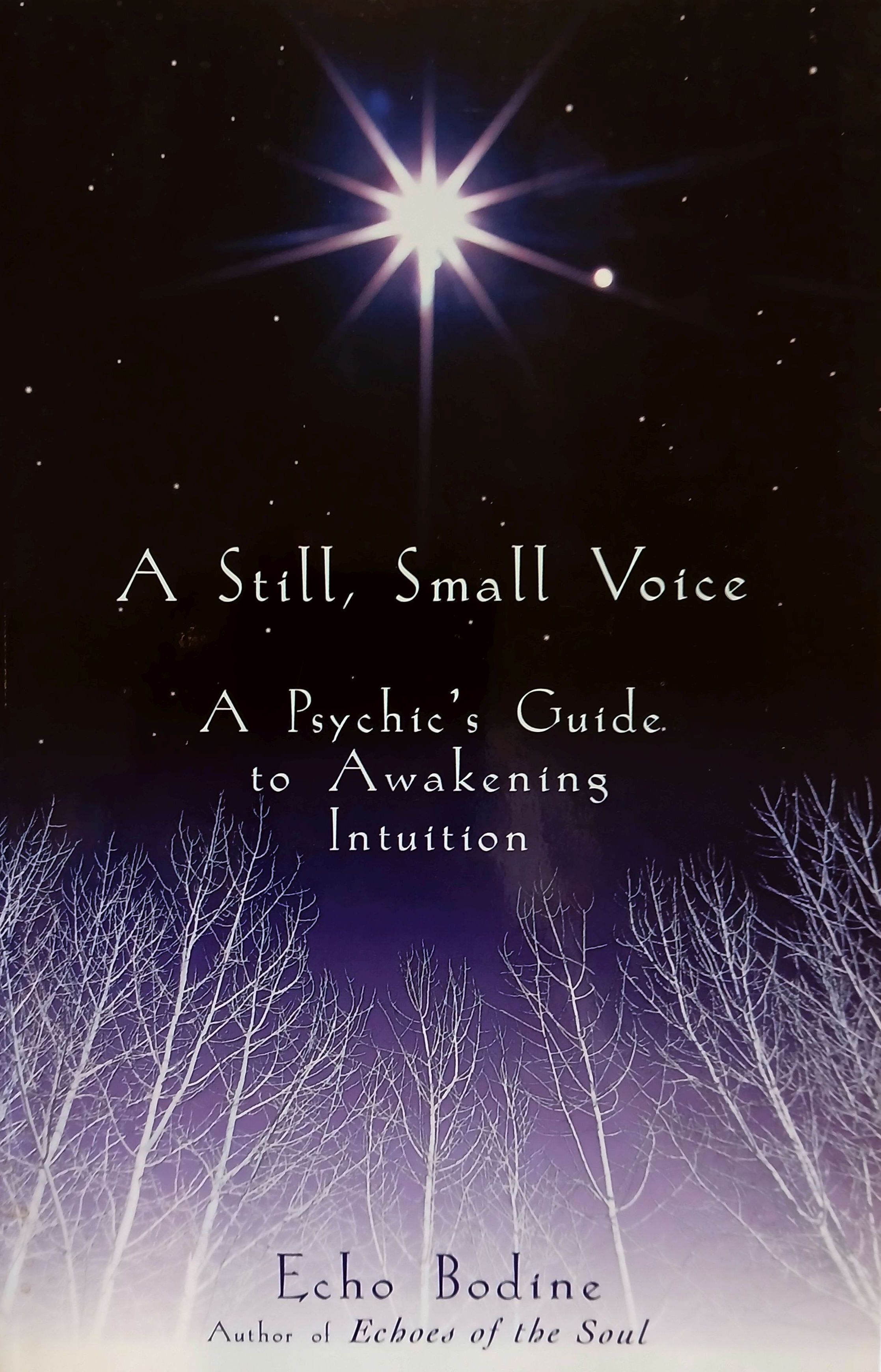 A Still, Small Voice: A Psychic's Guilde to Awakening Intuition