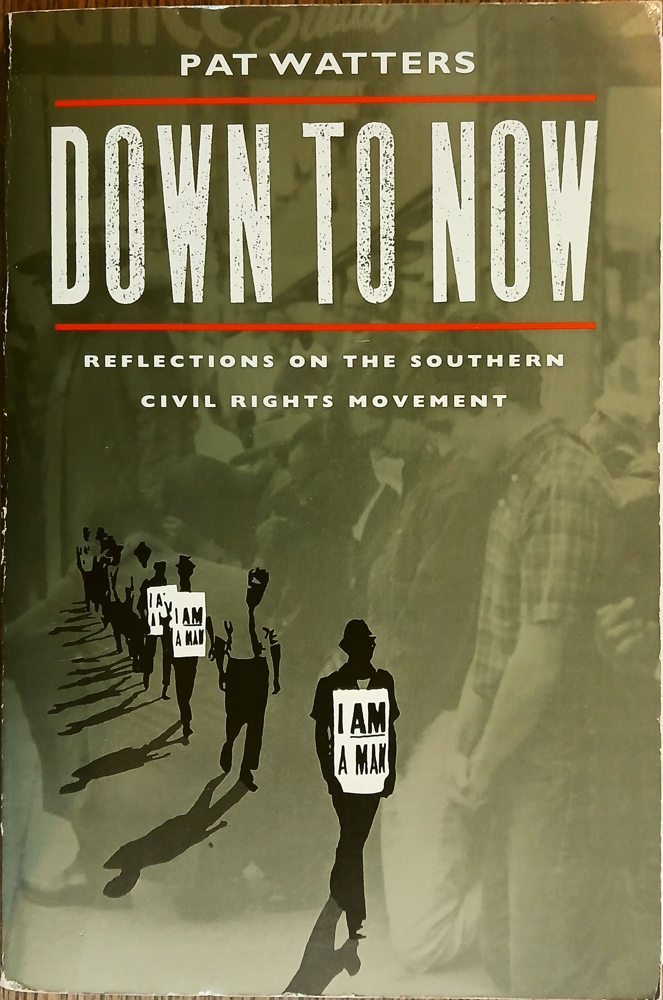 Down to Now: Reflections on the Southern Civil Rights Movement