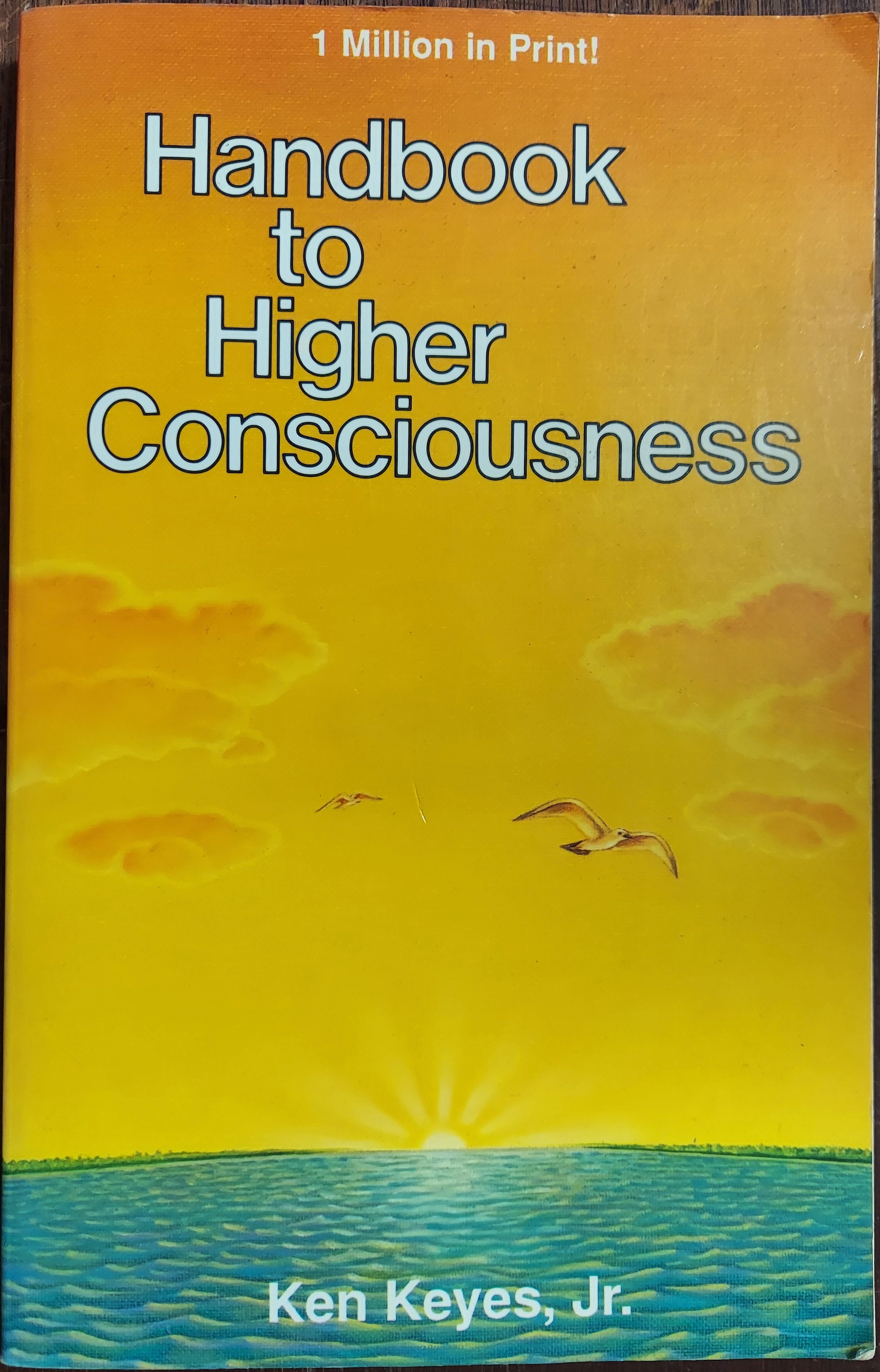 Handbook to Higher Consciousness: The Workbook