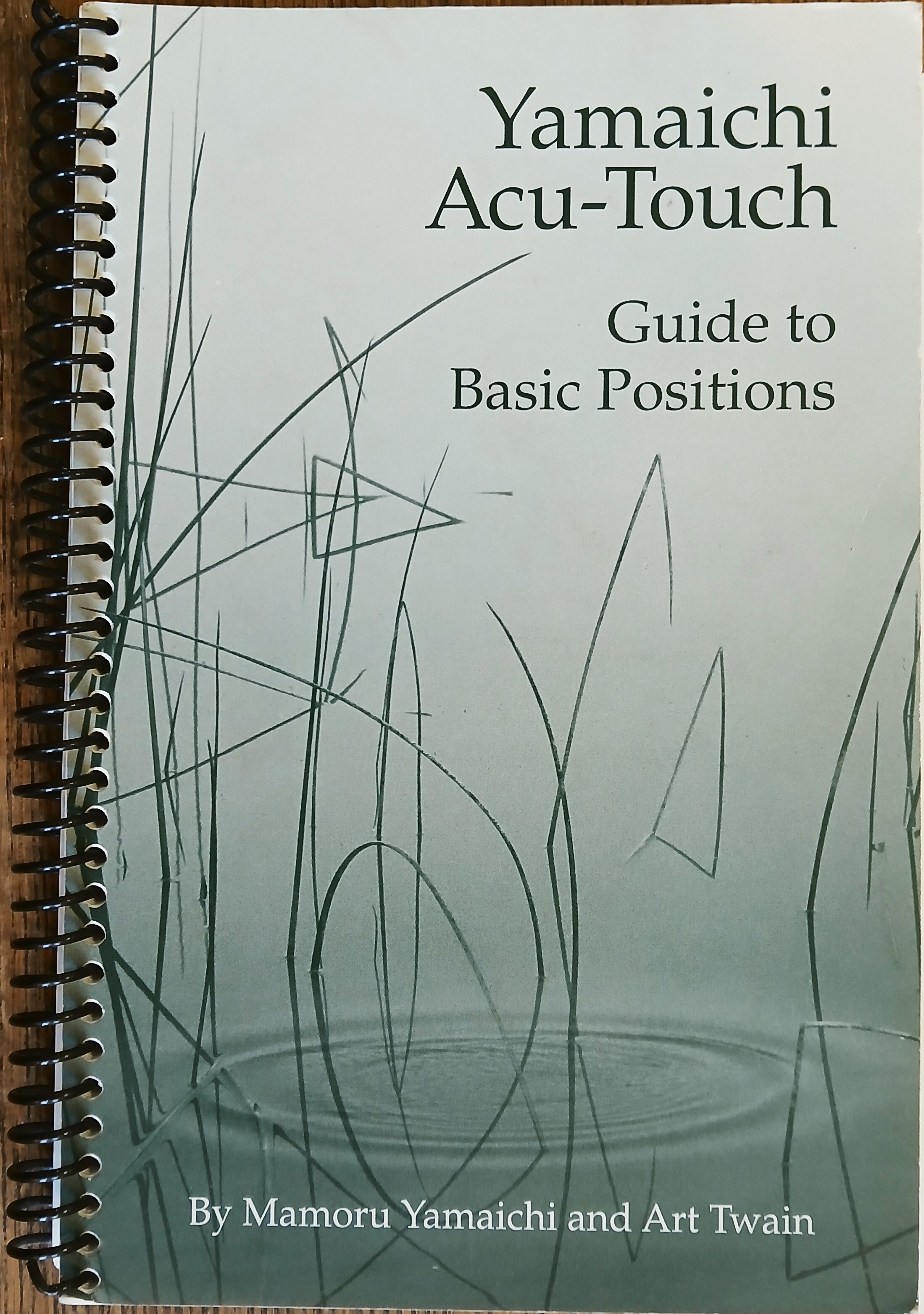 Yamaichi Acu-Touch: Guide to Basic Positions