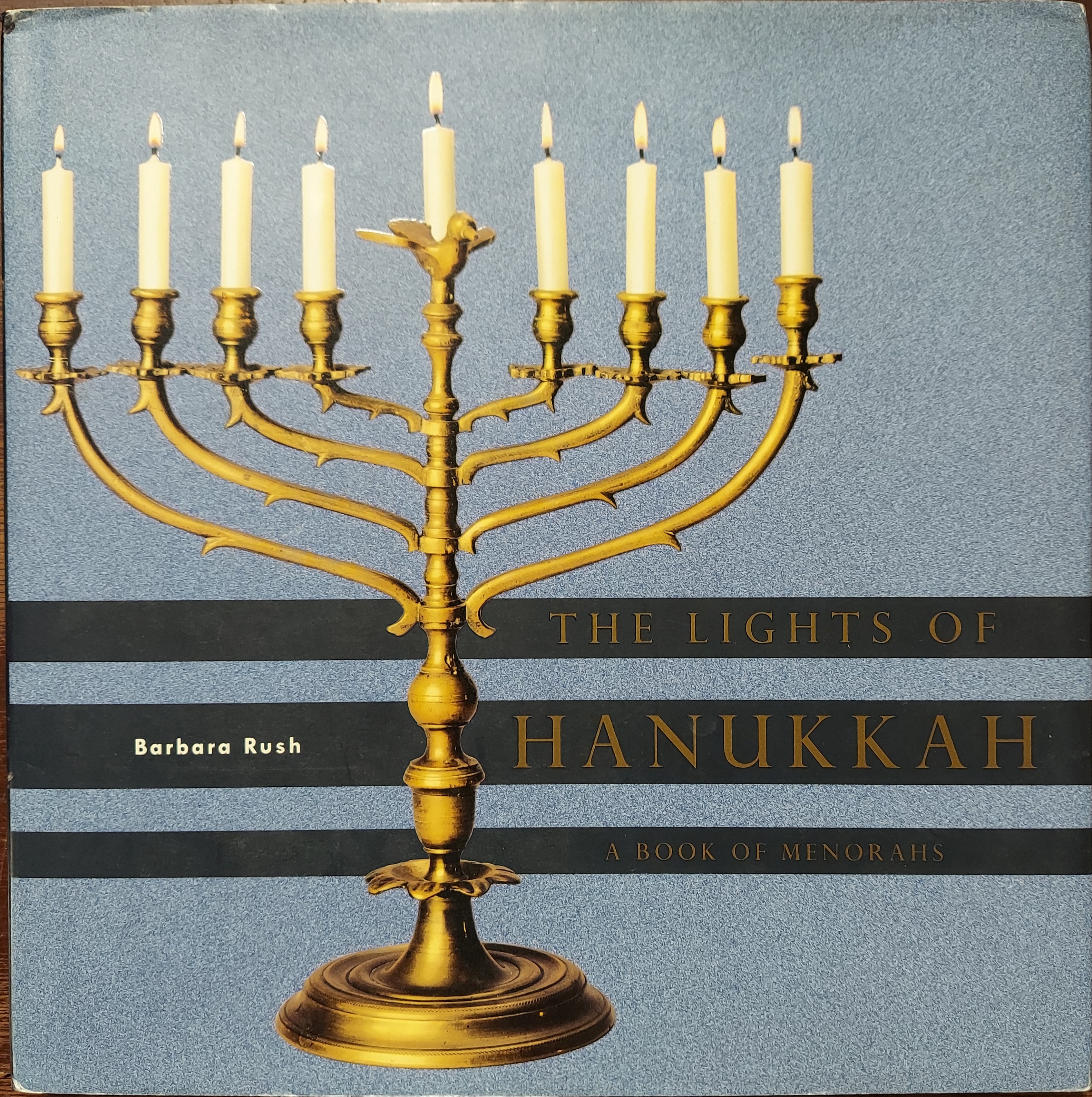 The Lights of Hanukkah : A Book of Menorahs