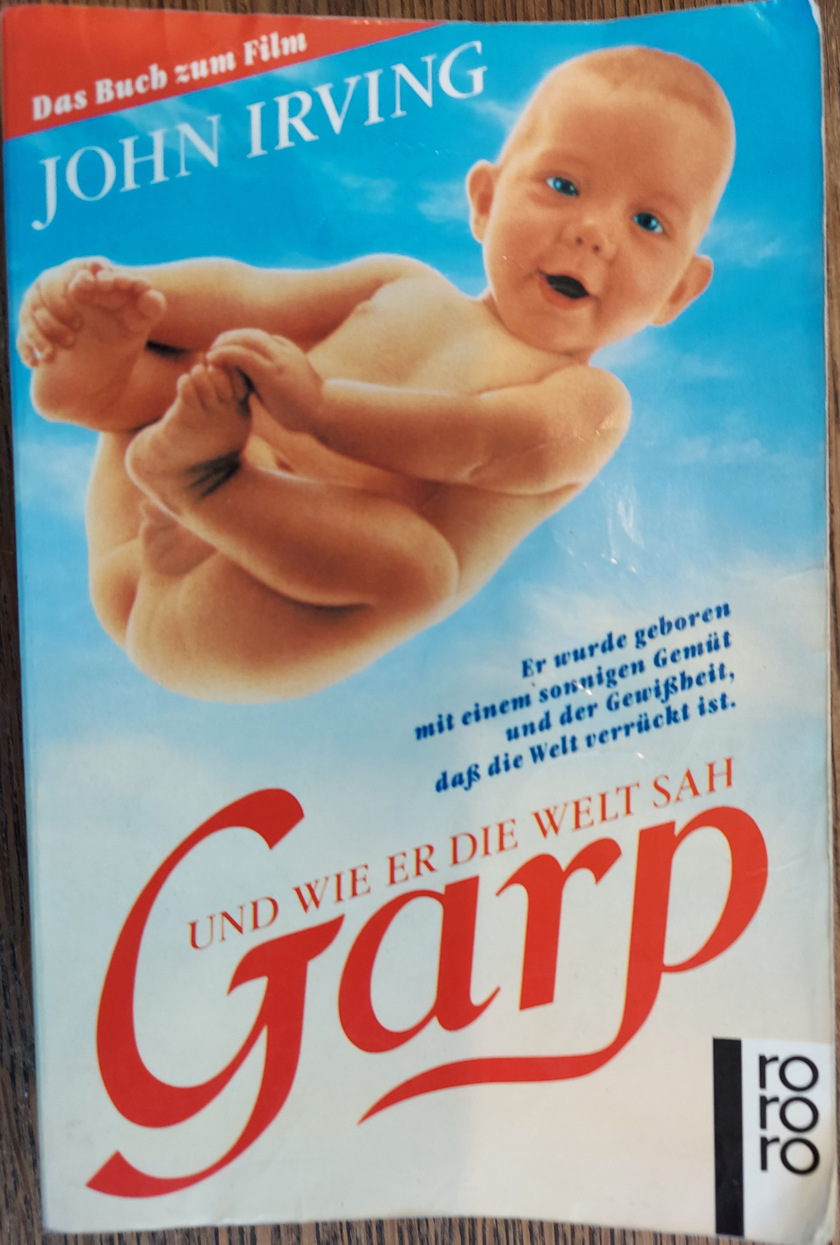 Garp und wie er die Welt Sah