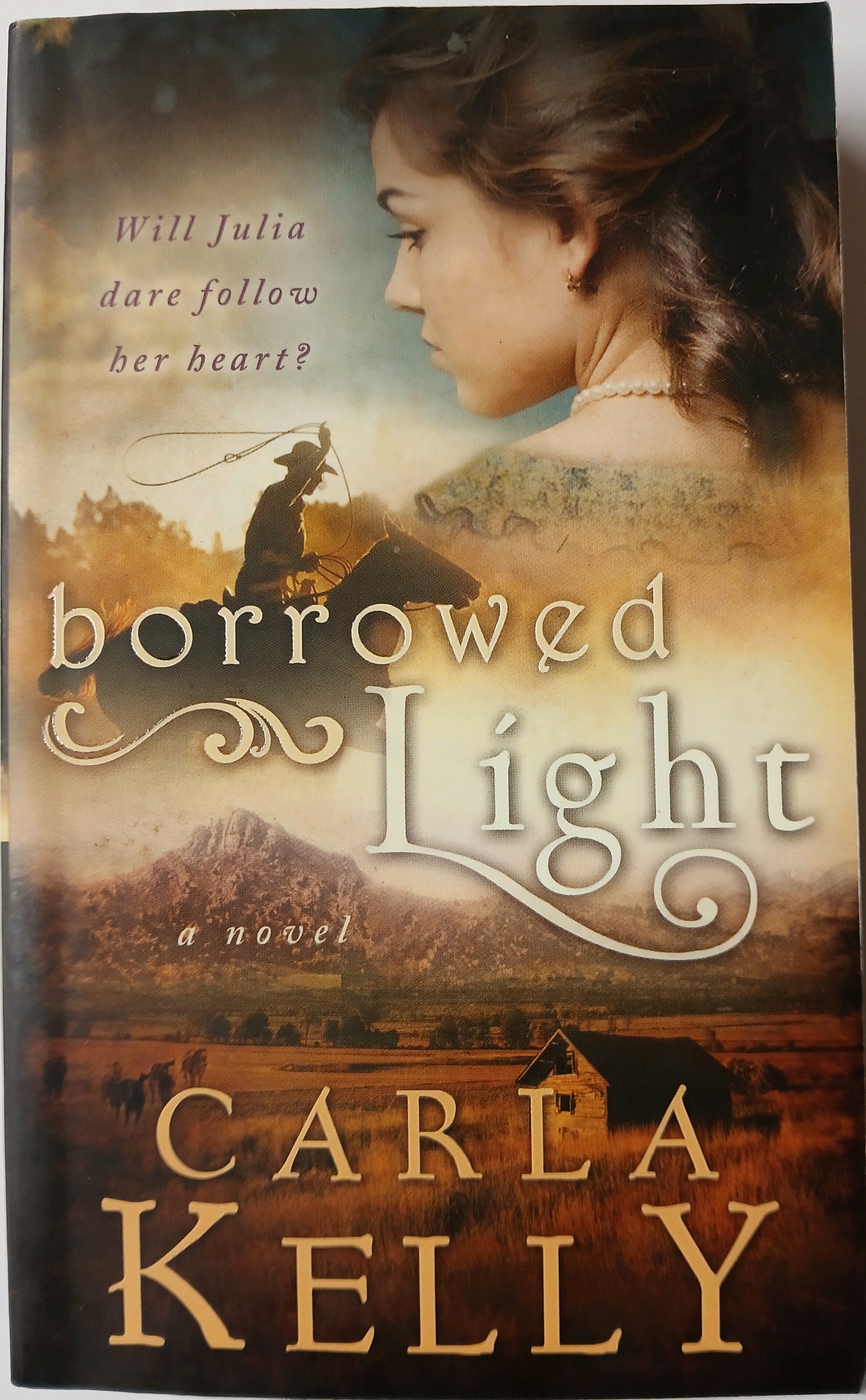 Image for Borrowed Light: a Novel Borrowed Light: a Novel