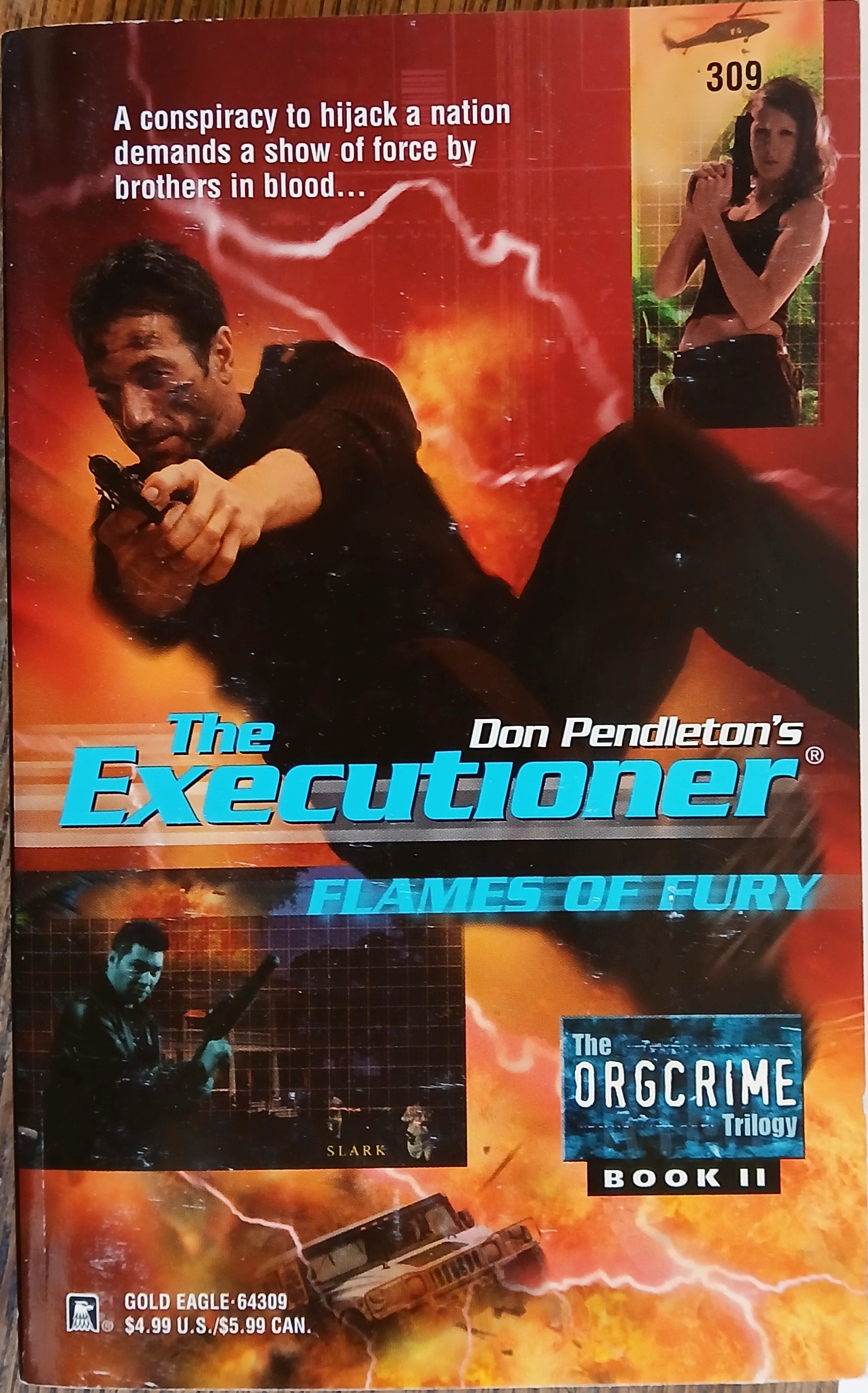 Flames of Fury (The Executioner #309)