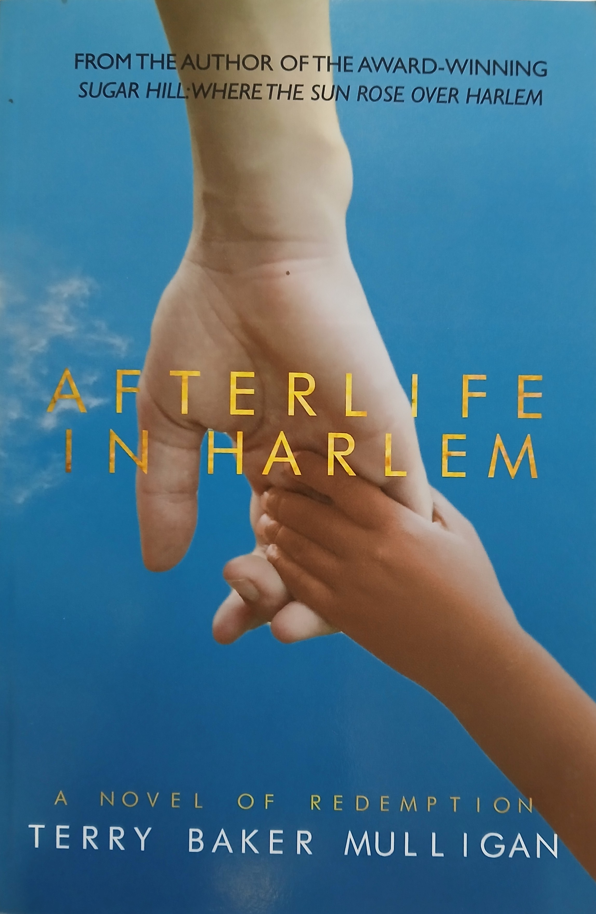 Afterlife In Harlem: A Novel of Redemption
