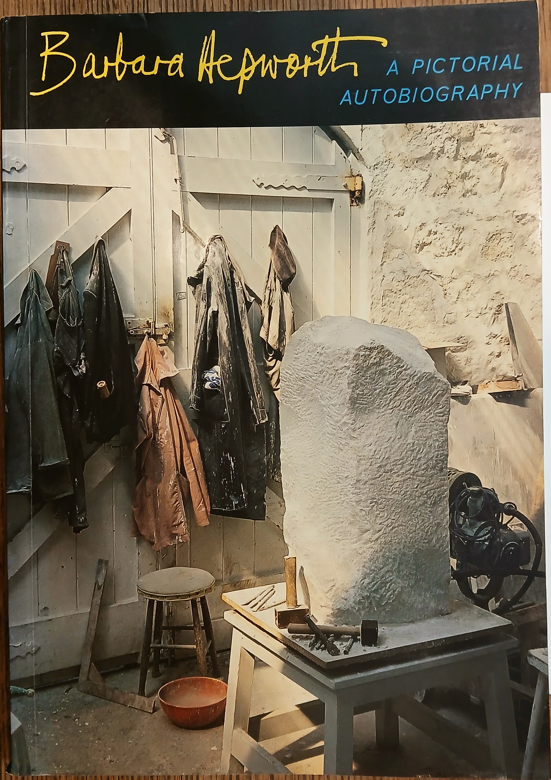 Barbara Hepworth: A Pictorial Autobiography