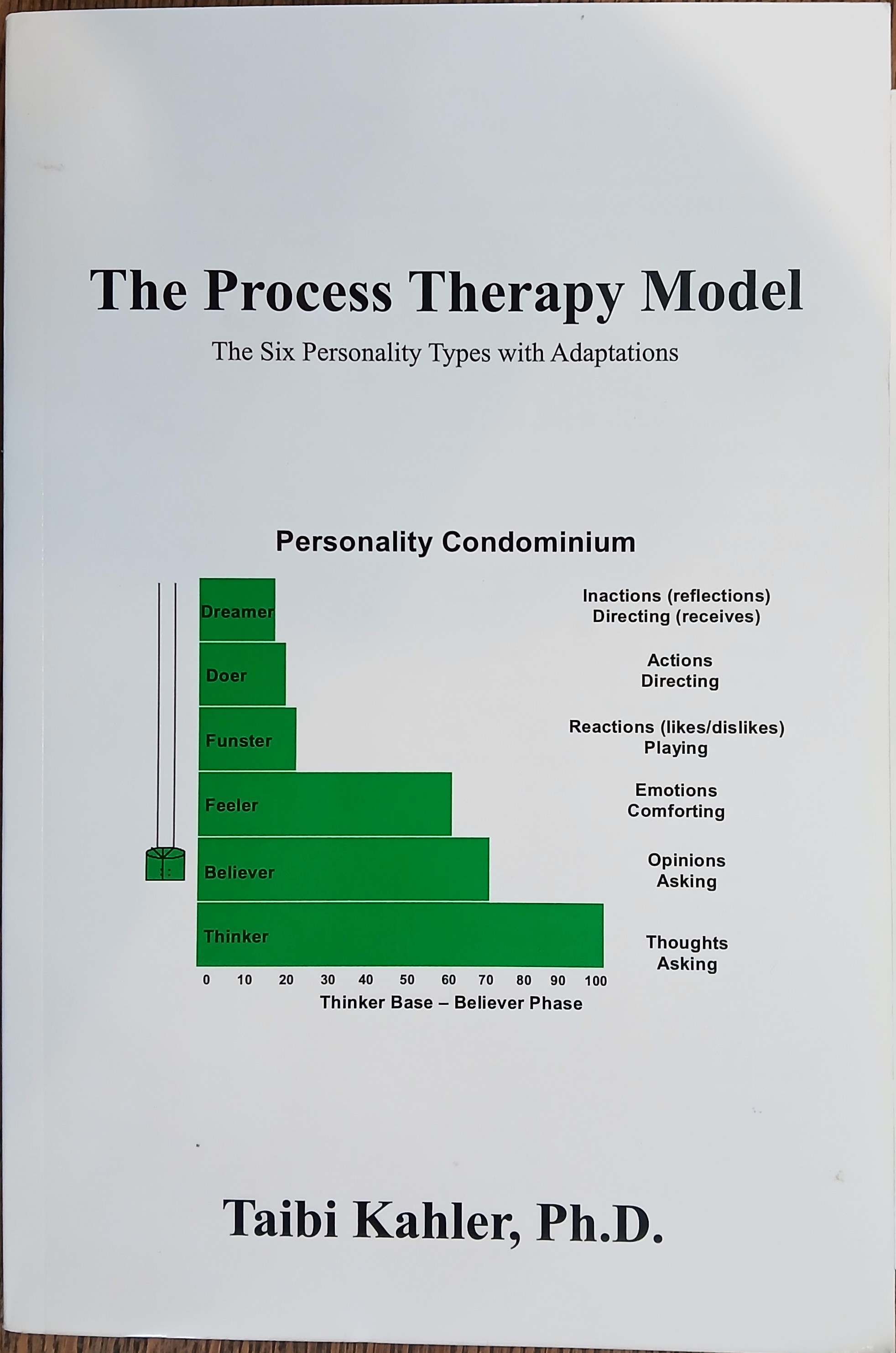 The Process Therapy Model: The Six Personality Types with Adaptations