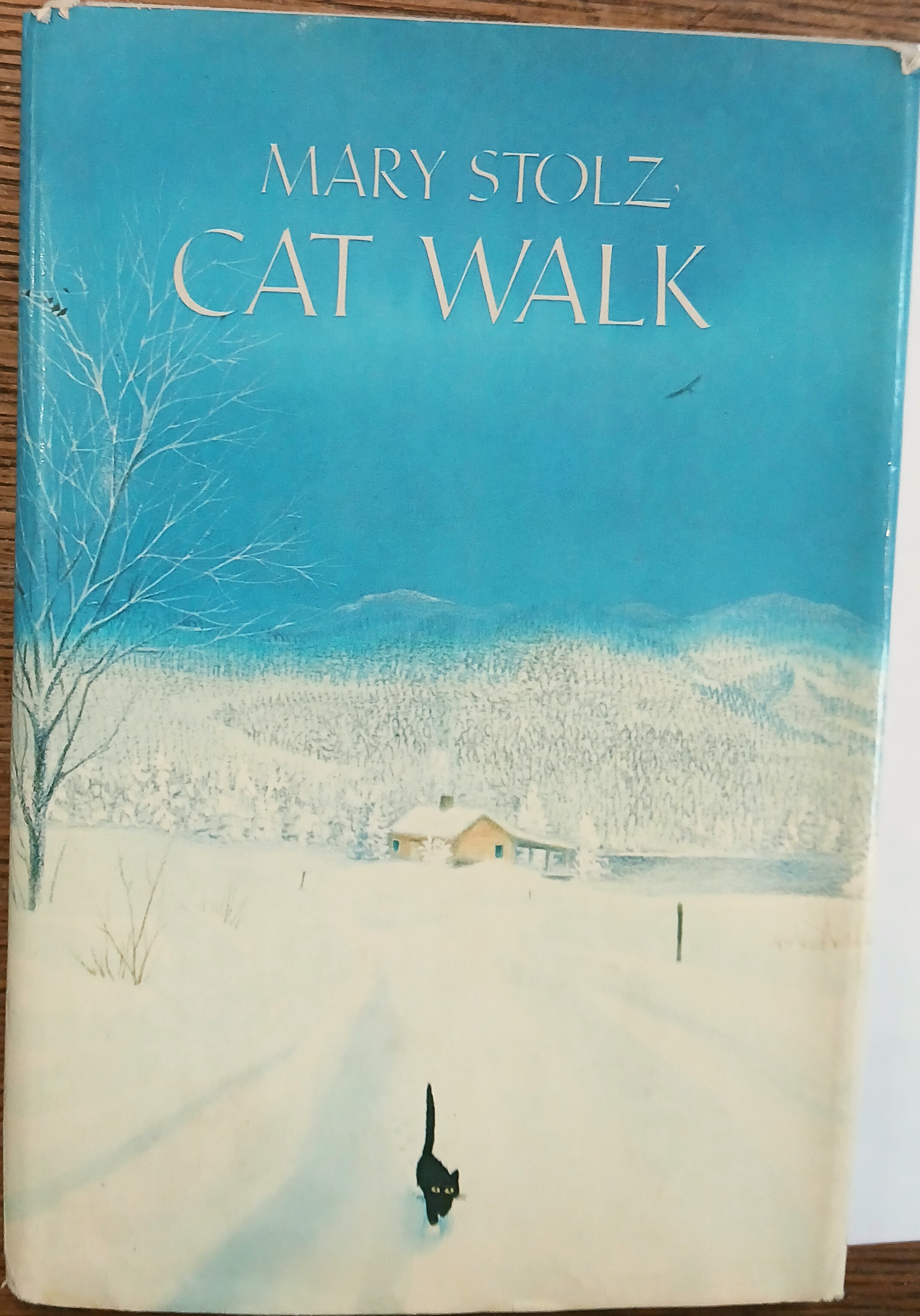 Image for Cat Walk Cat Walk