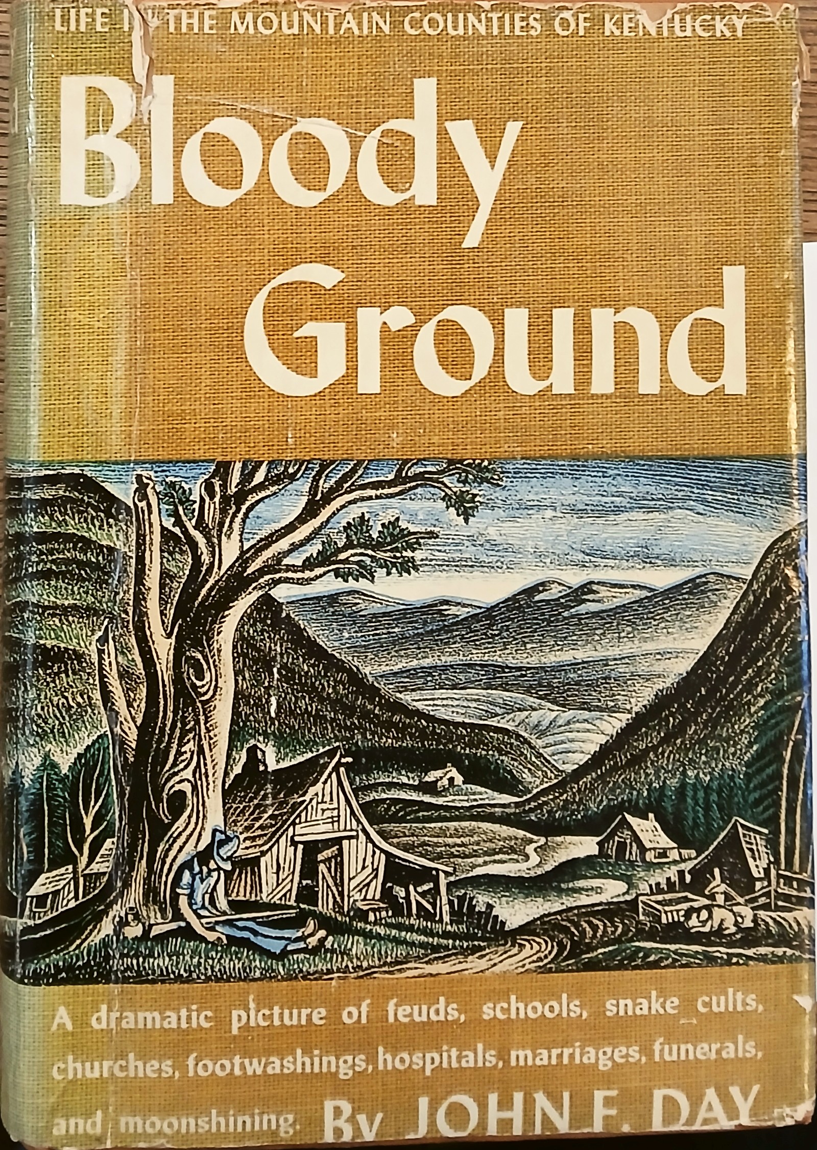 Bloody Ground