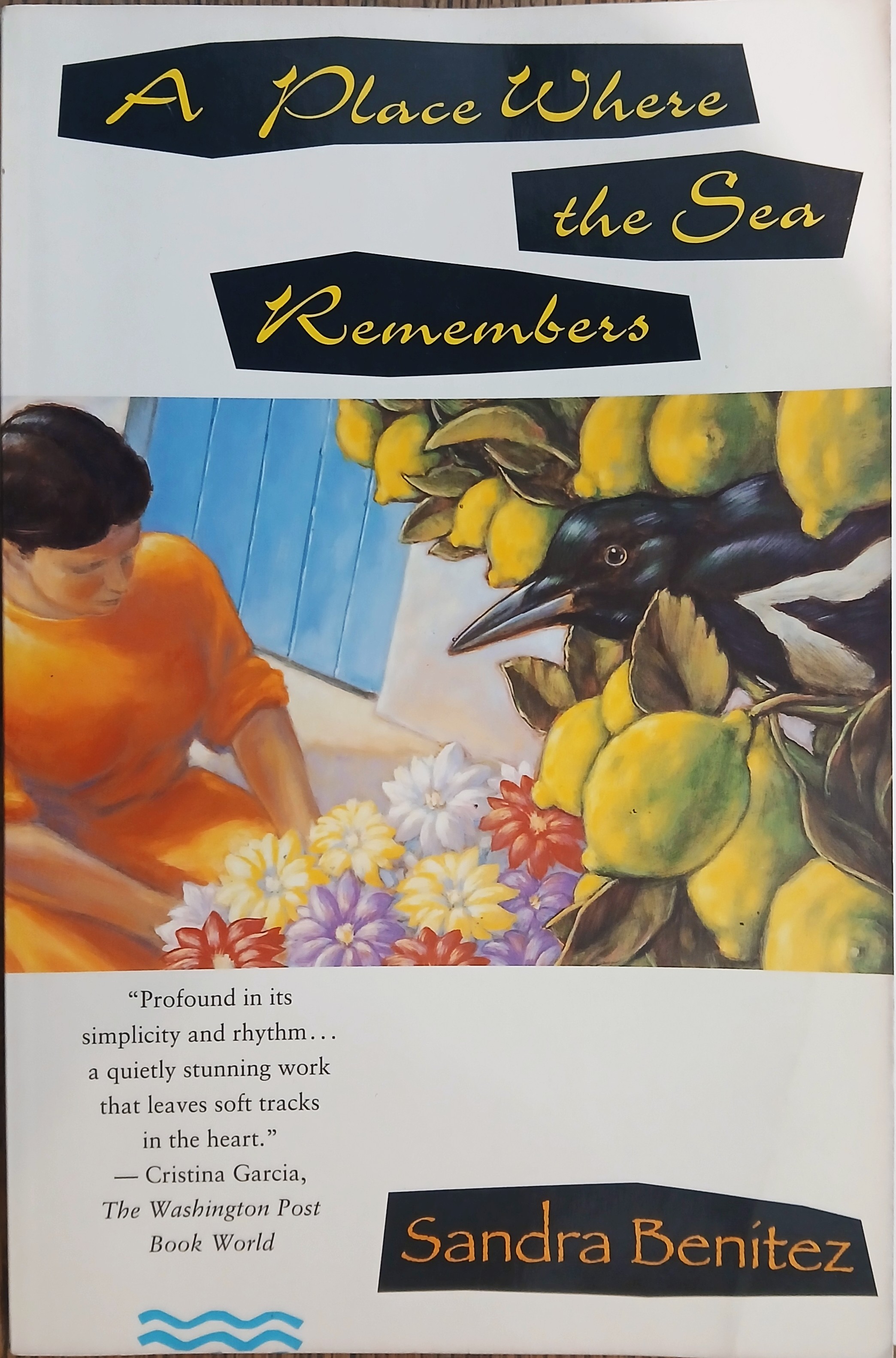 A Place Where the Sea Remembers