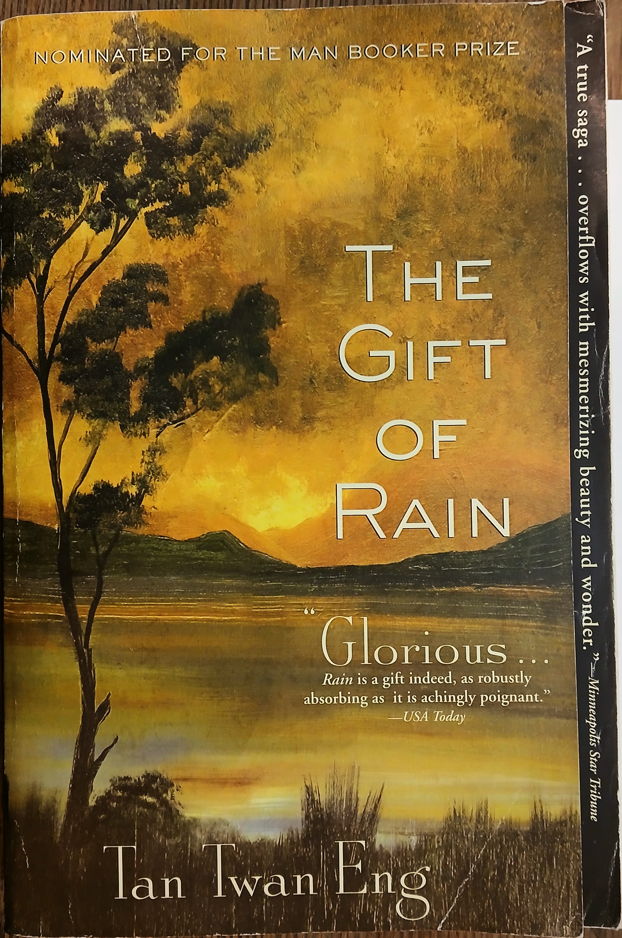 The Gift of Rain
