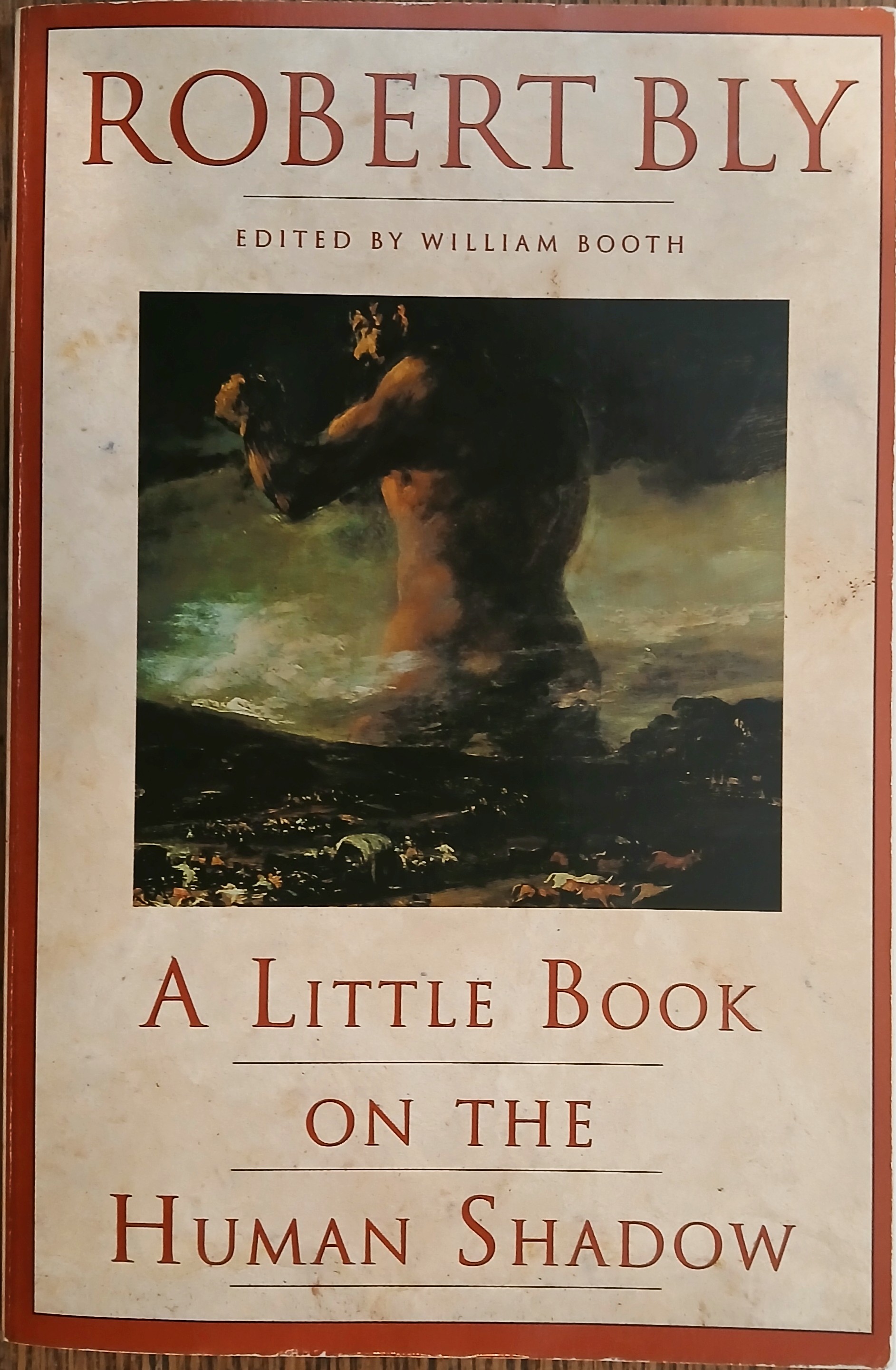 Image for A Little Book on the Human Shadow A Little Book on the Human Shadow
