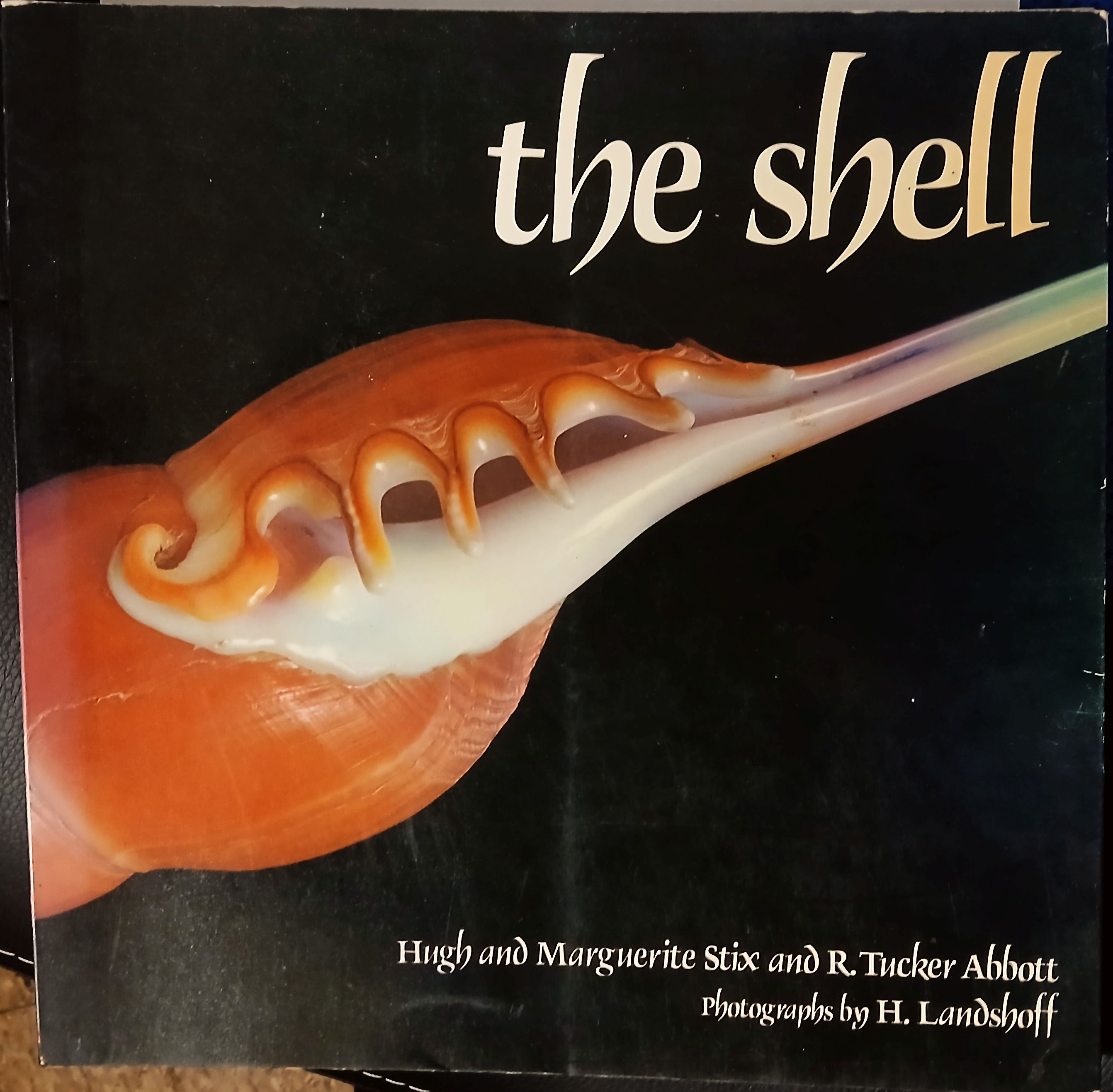 The Shell