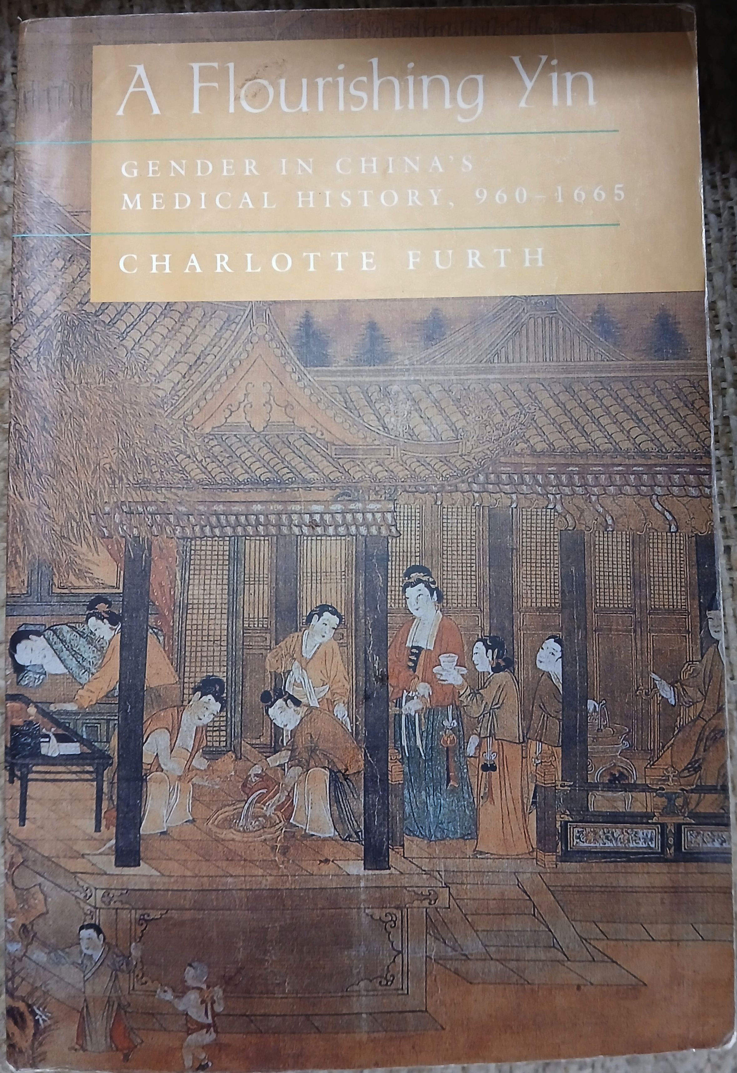 A Flourishing Yin: Gender in China's Medical History, 960-1665