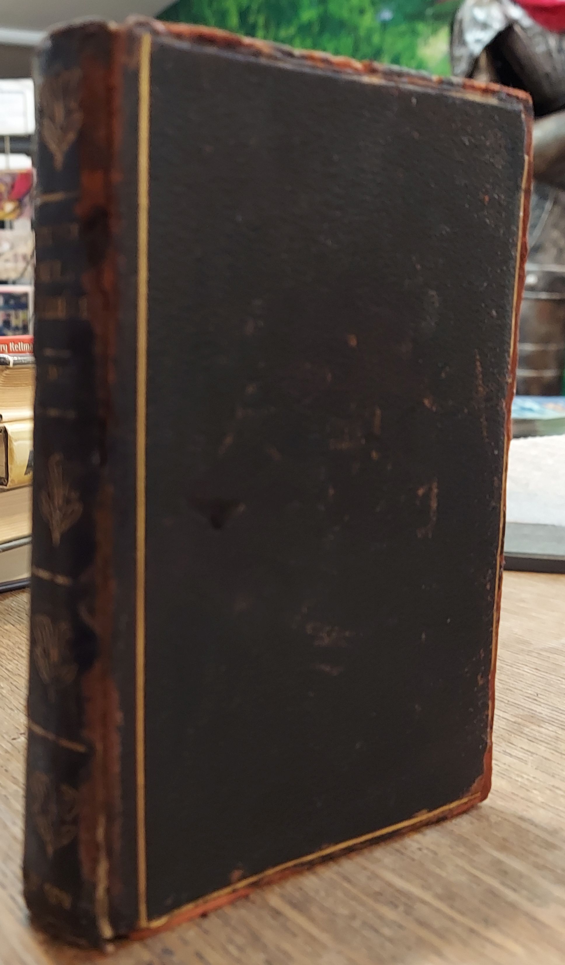 Louise De La Valliere