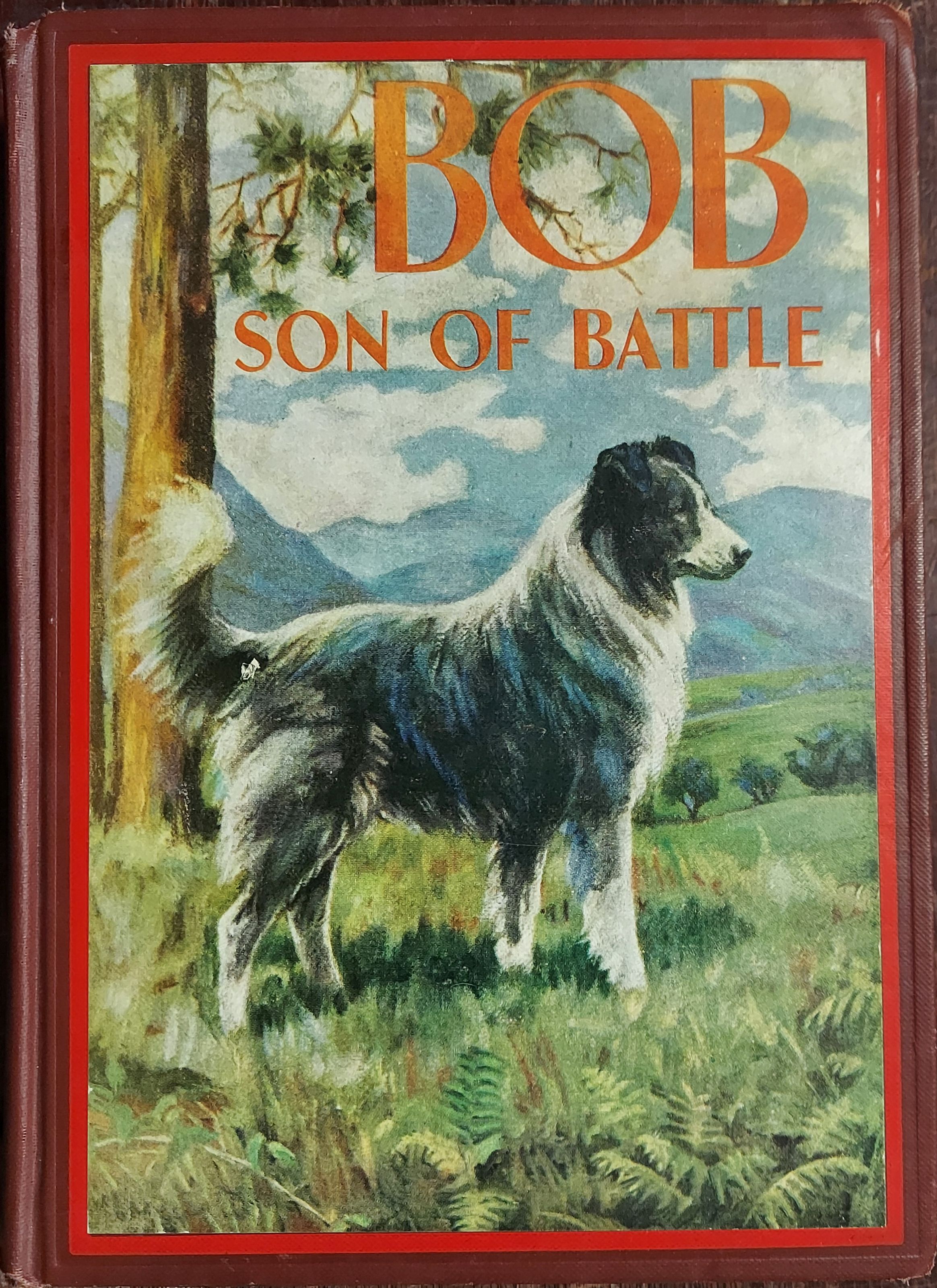 Image for Bob Son of Battle Bob Son of Battle