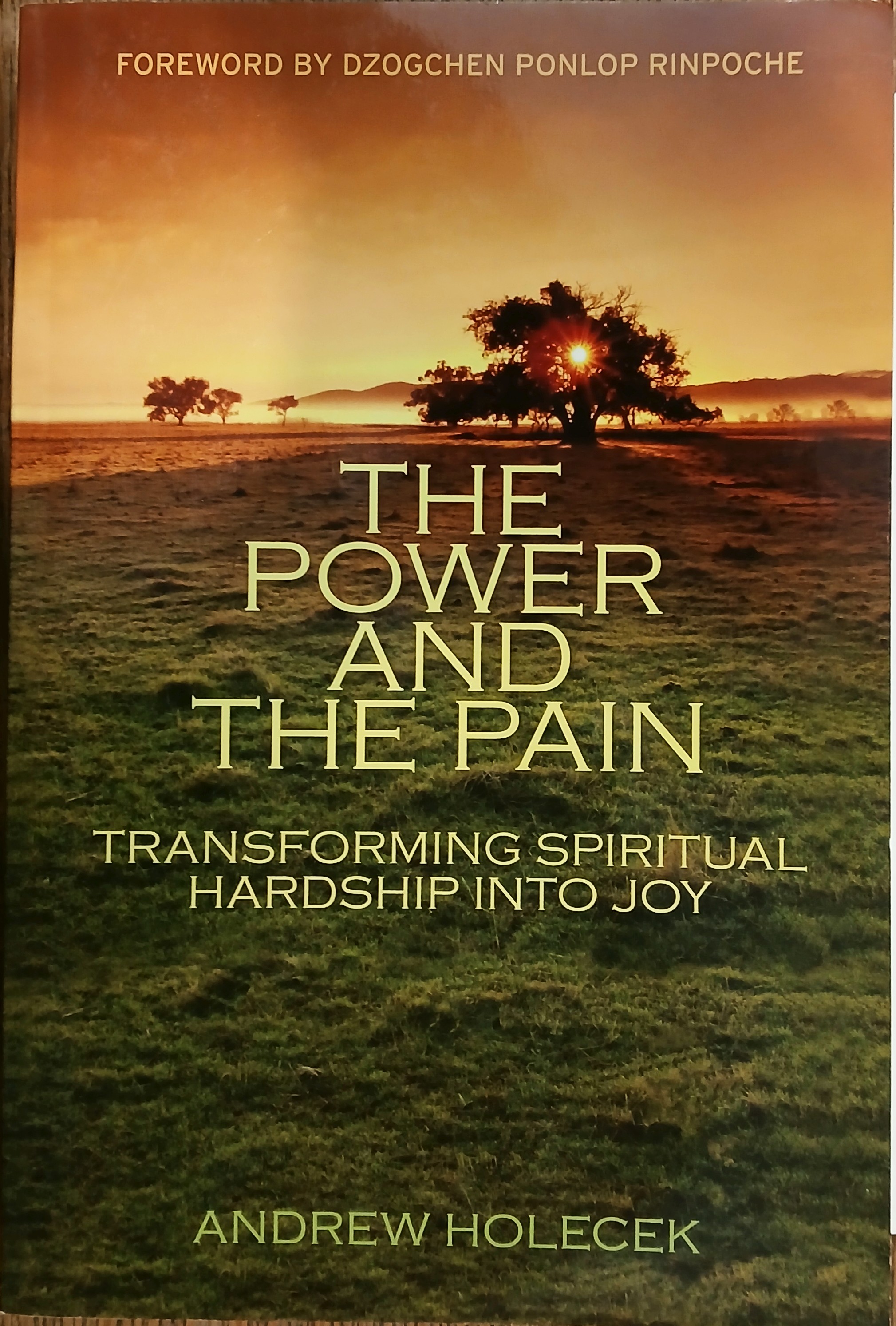 Image for The Power and the Pain: Transforming Spiritual Hardship Into Joy The Power and the Pain: Transforming Spiritual Hardship Into Joy