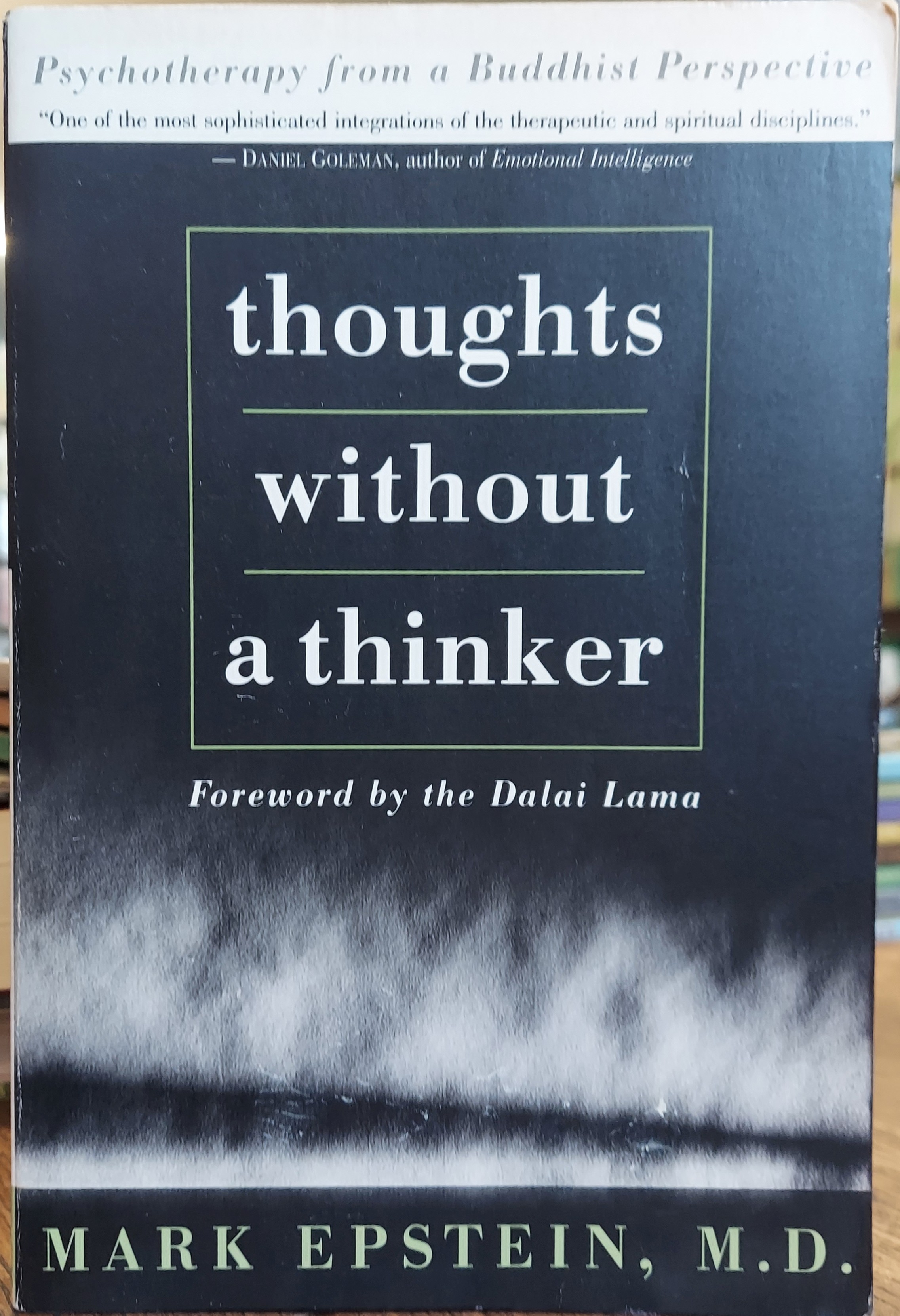 Thoughts Without a Thinker: Psychotherapy from a Buddhist Perspective