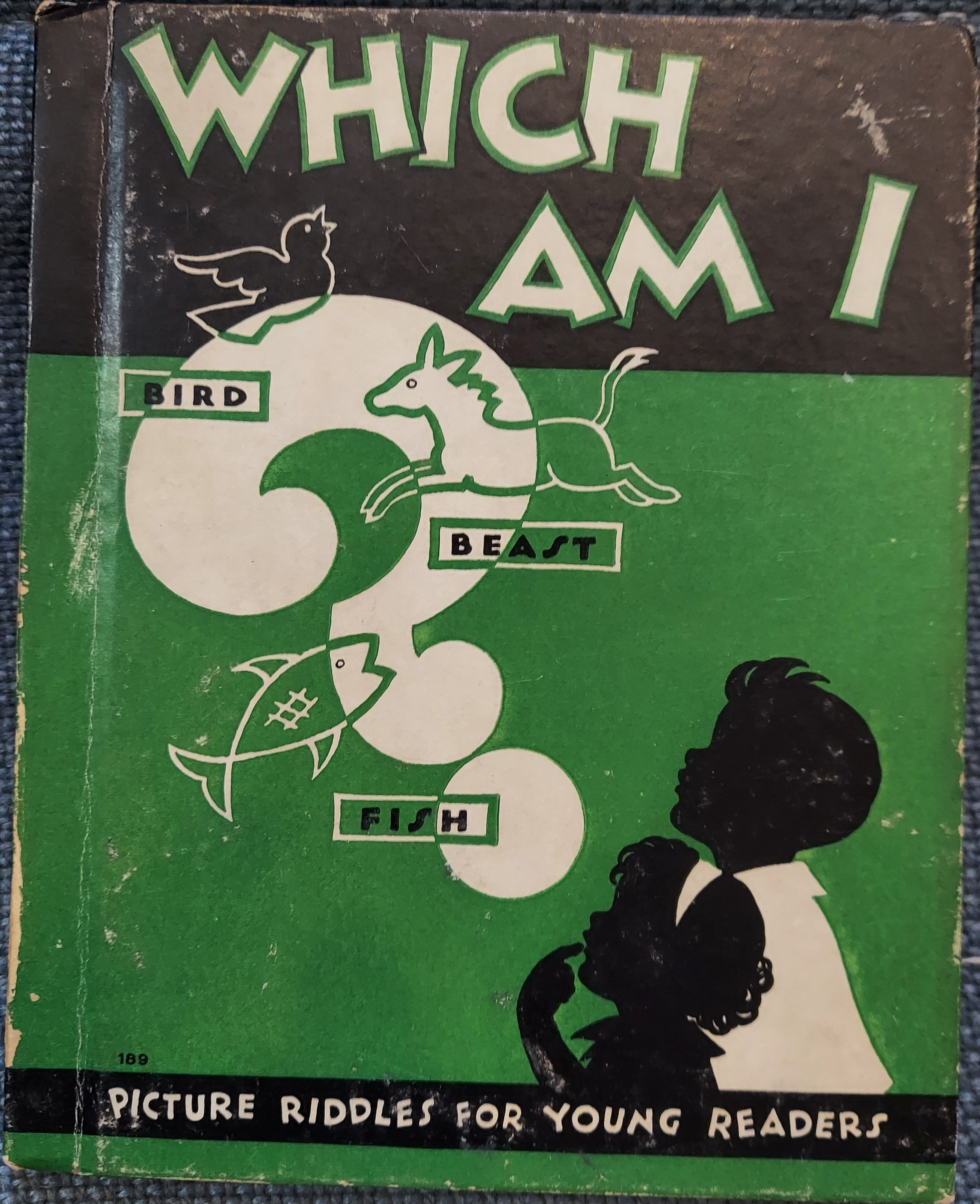 Which Am I (Picture Riddles for Young Readers)