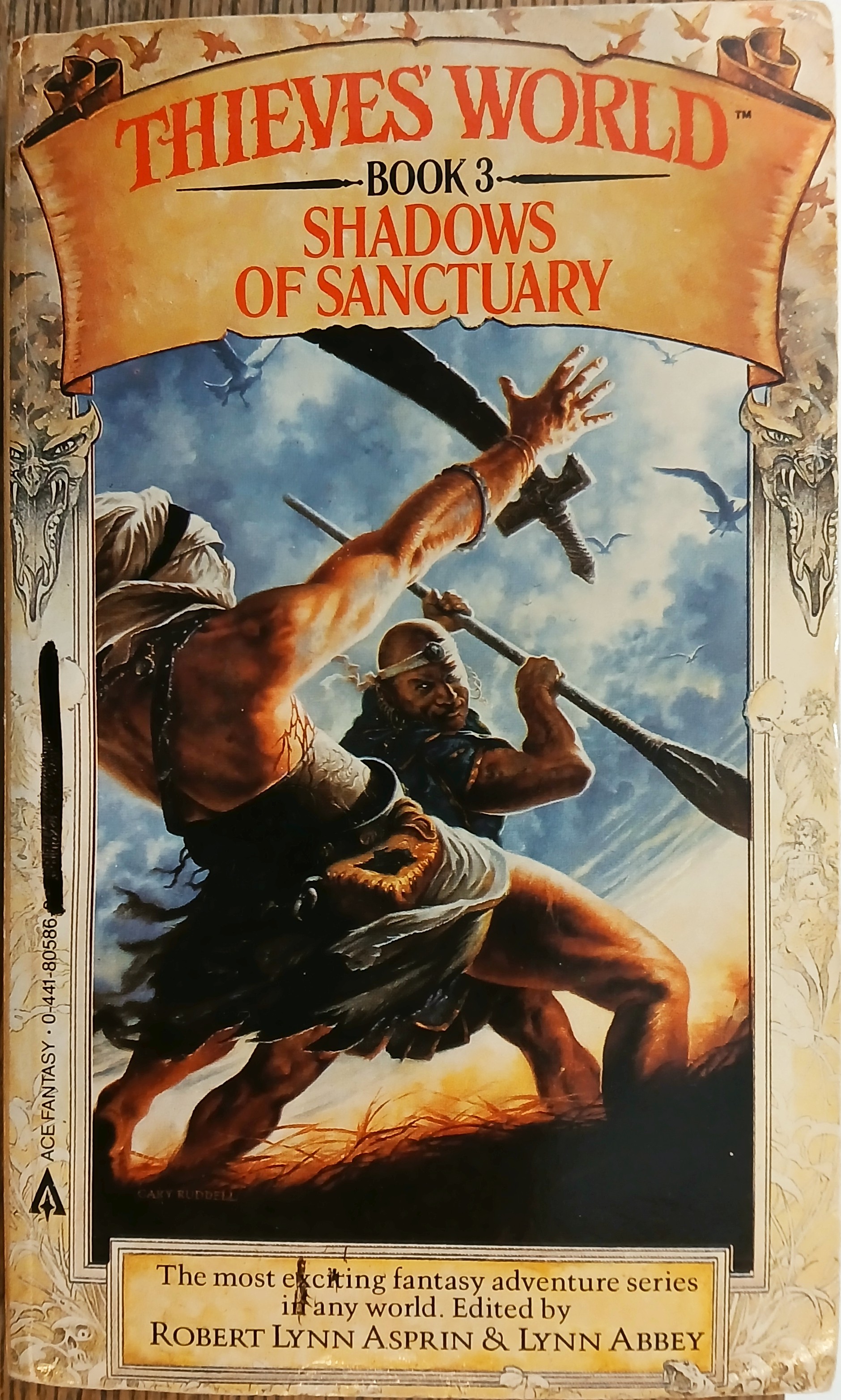 Image for Shadows of Sanctuary (Thieves' World Book 3) Shadows of Sanctuary (Thieves' World Book 3)