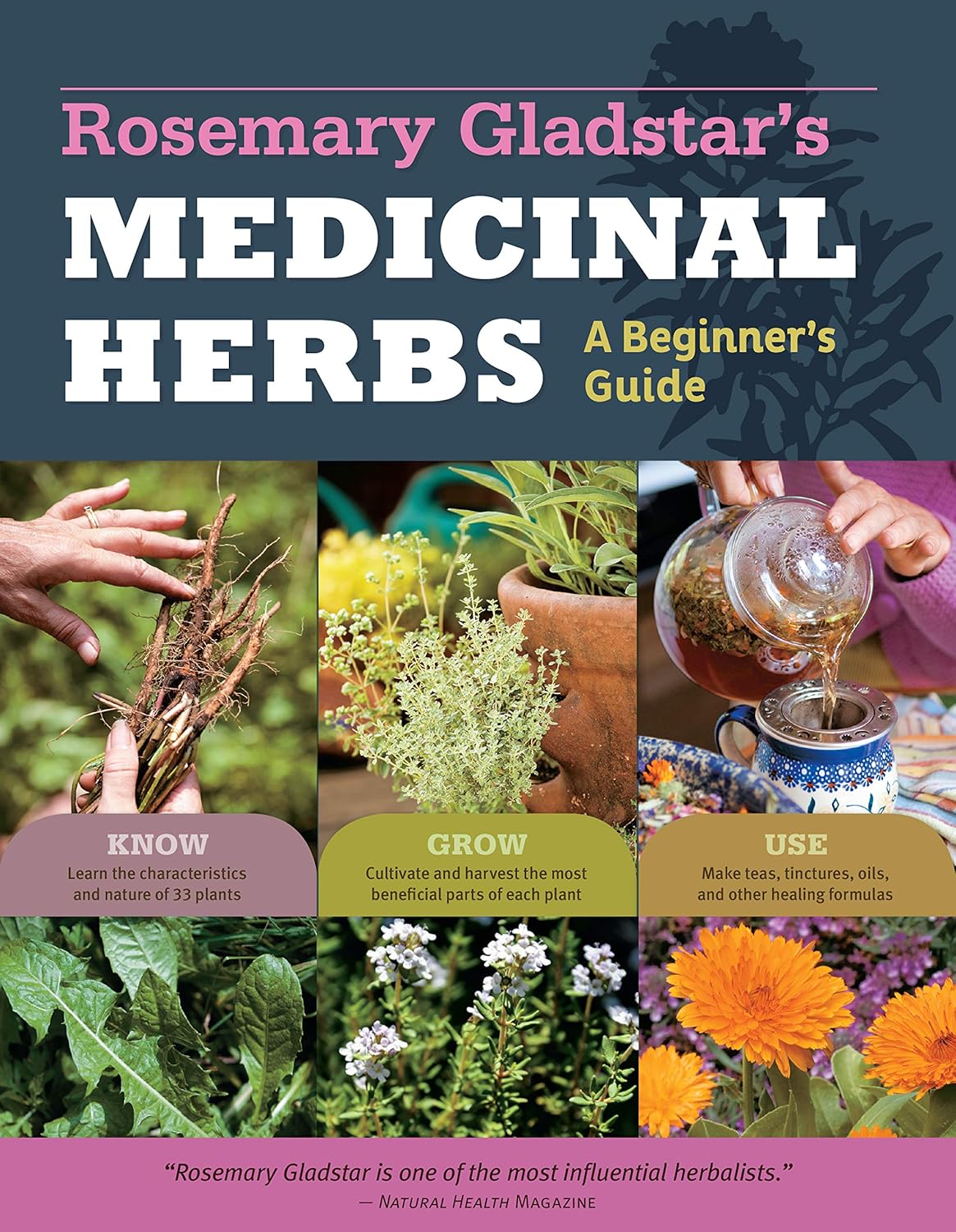 Image for Rosemary Gladstar's Medicinal Herbs: A Beginner's Guide Rosemary Gladstar's Medicinal Herbs: A Beginner's Guide
