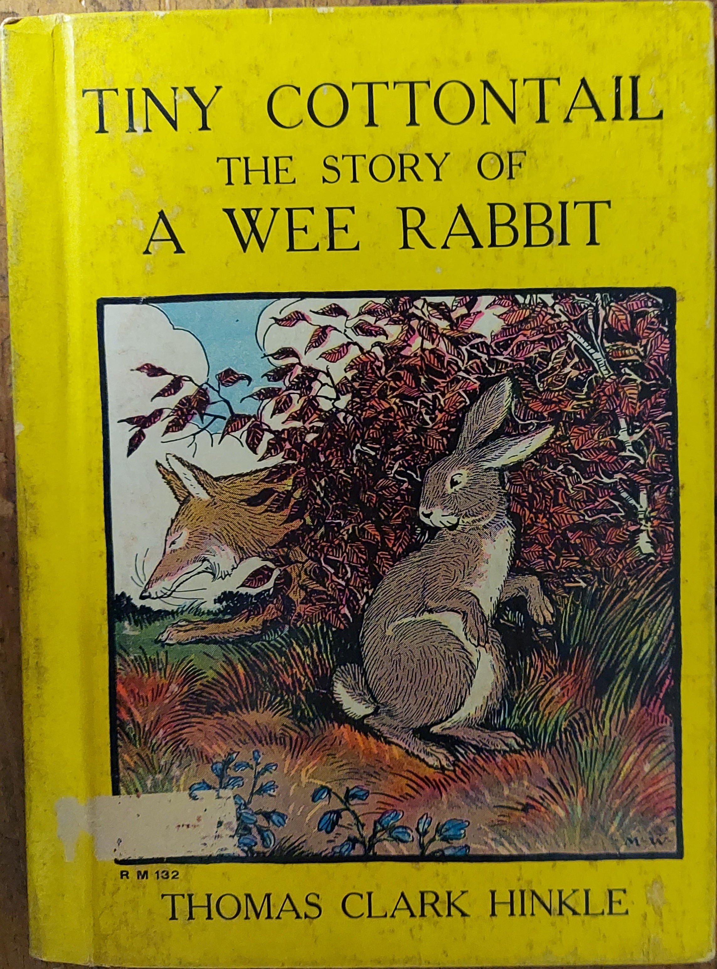 Image for Tiny Cottontail : The Story of a Wee Rabbit Tiny Cottontail : The Story of a Wee Rabbit