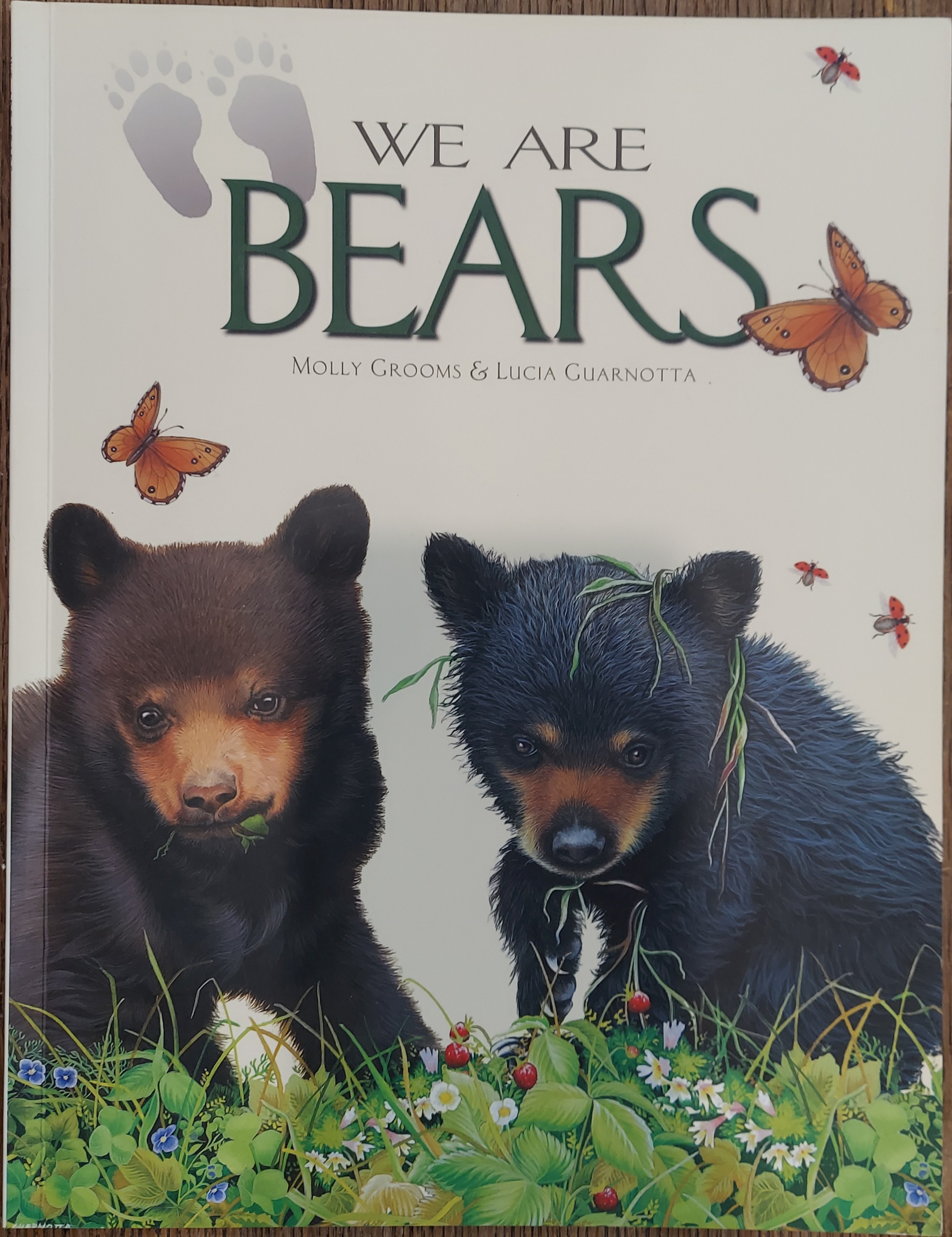 We Are Bears
