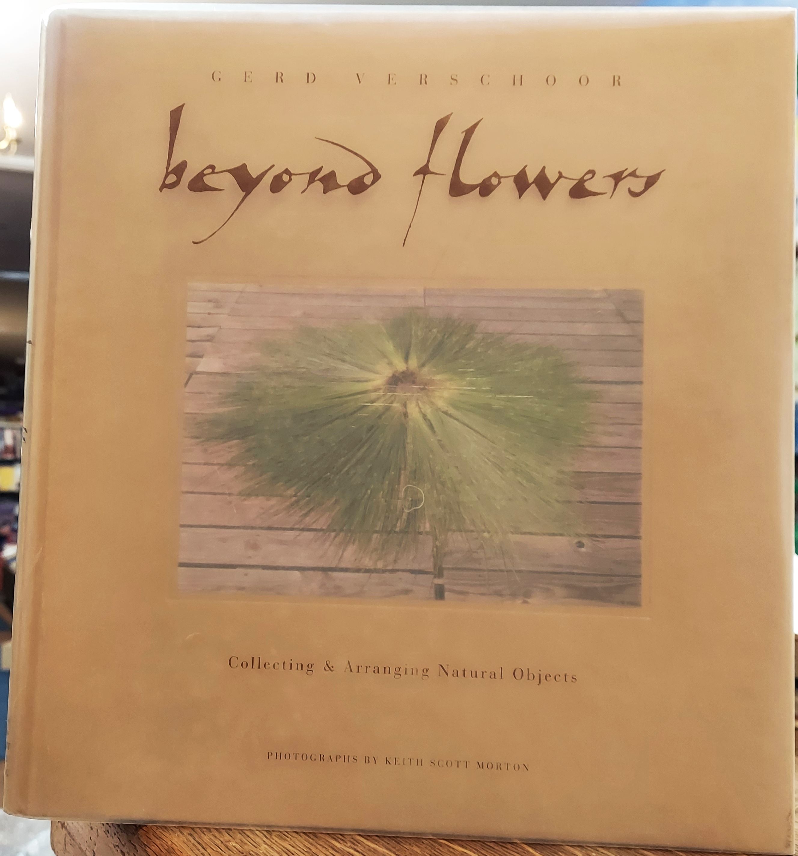 Beyond Flowers: Collecting & Arranging Natural Objects
