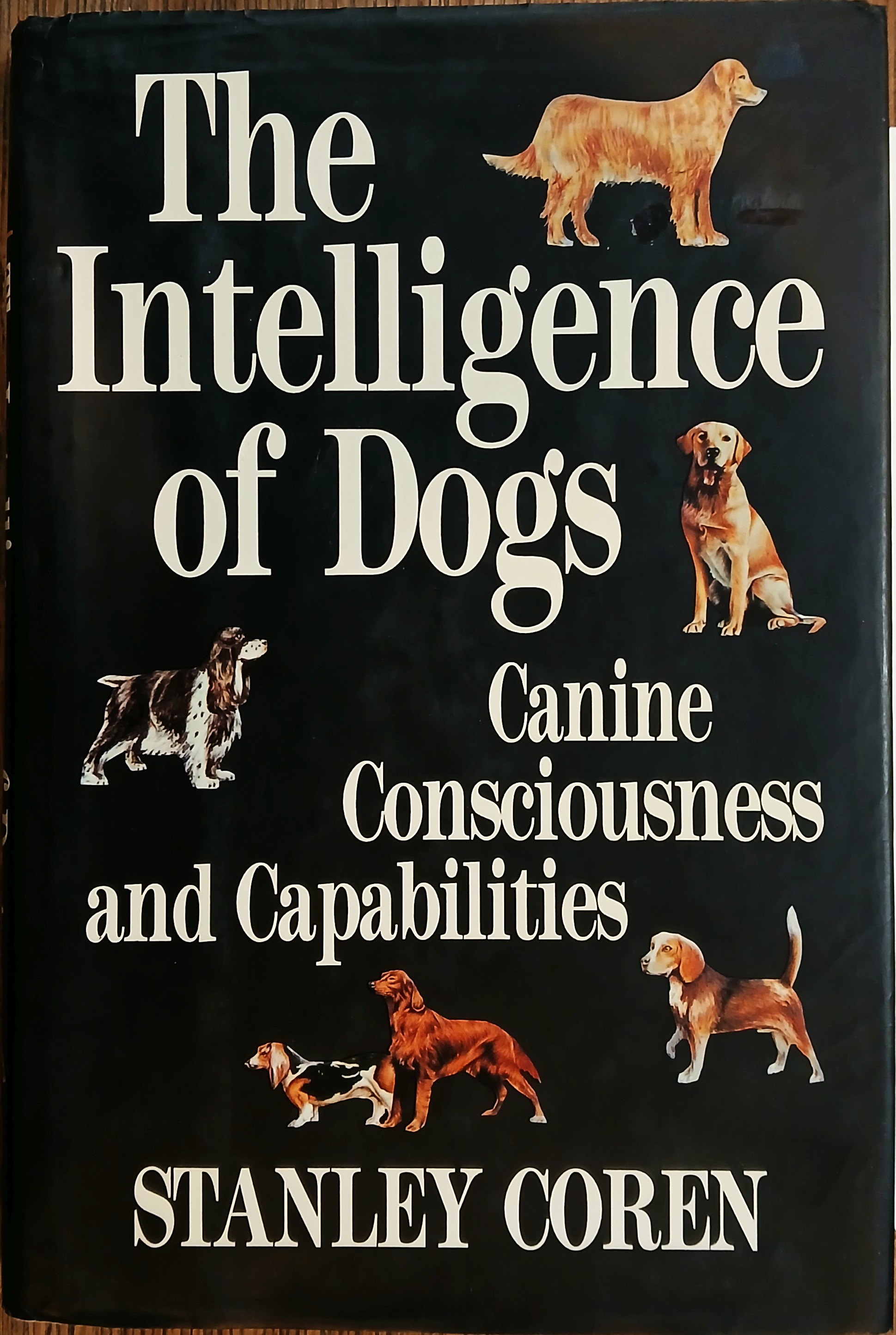 The Intelligence of Dogs: Canine Consciousness and Capabilities