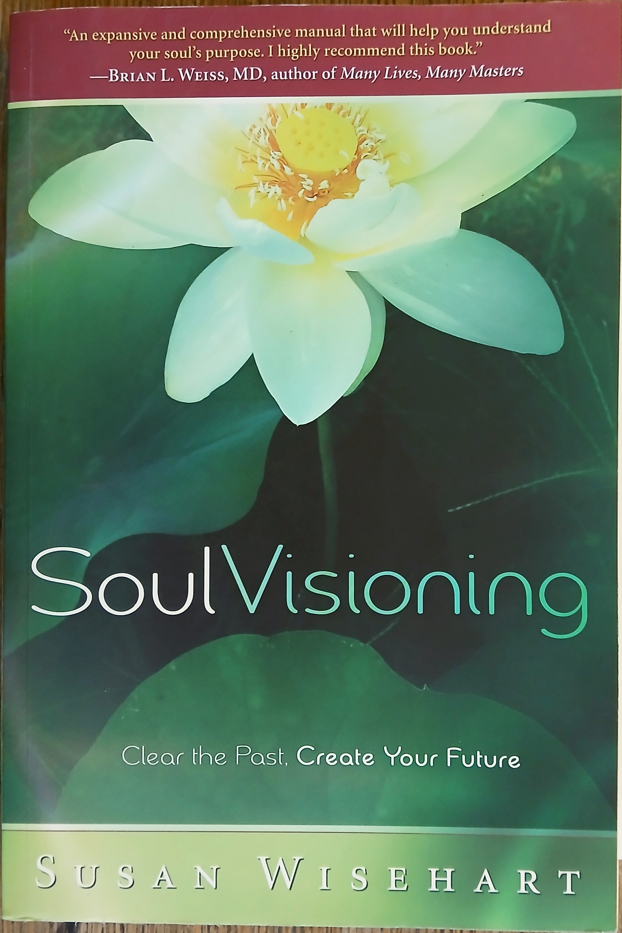 Soul Visioning: Clear the Past, Create Your Future