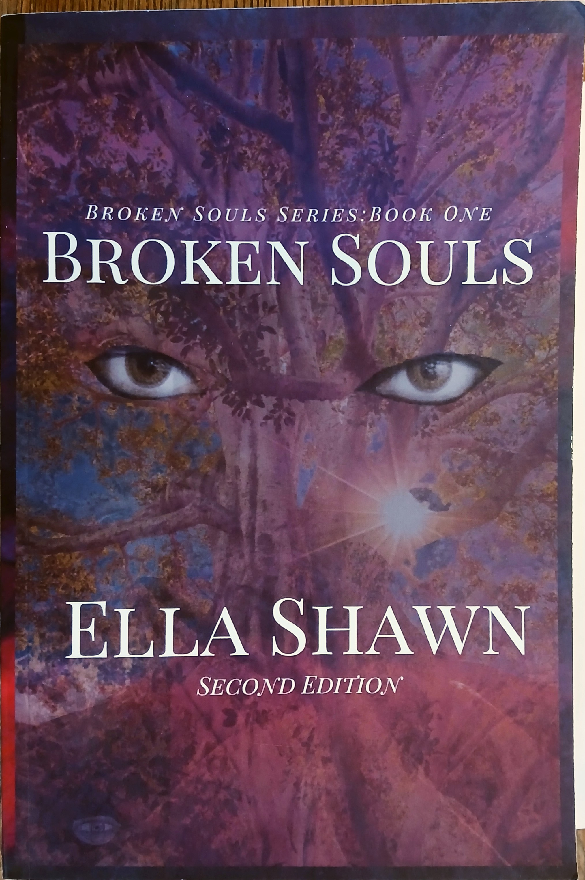 Broken Souls (Broken Souls Series Book One)