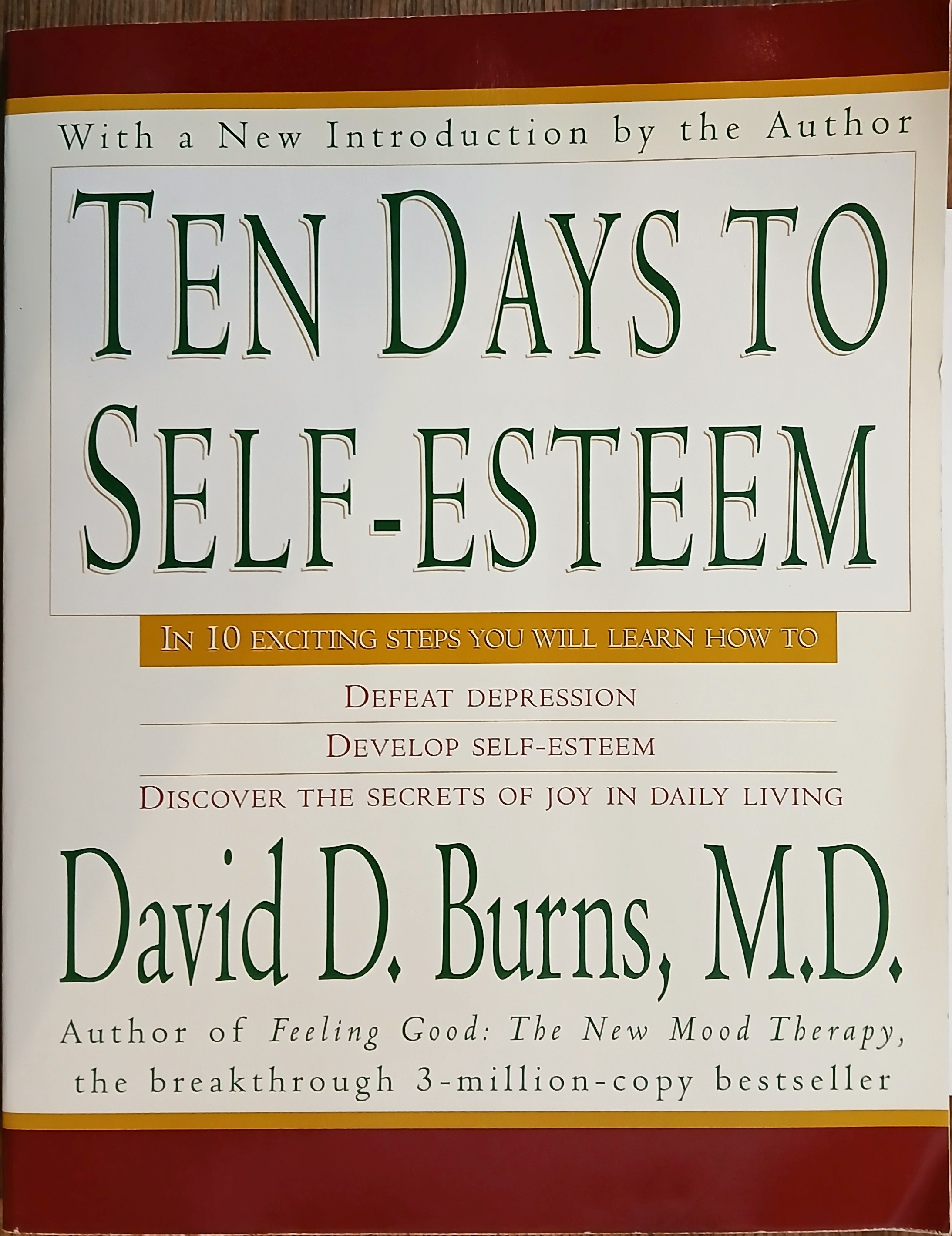Ten Days to Self-Esteem