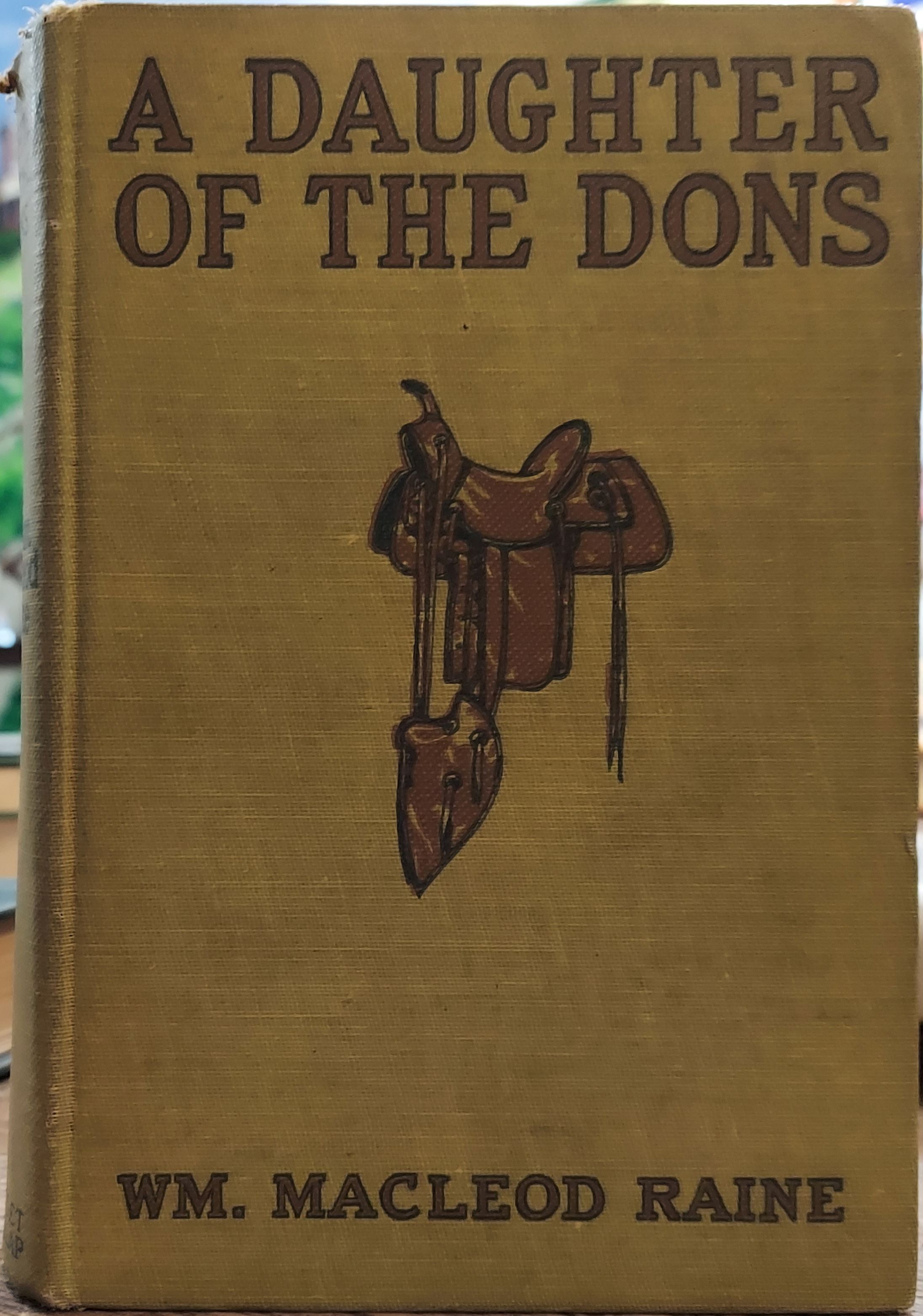 A Daughter of the Dons: a Story of New Mexico