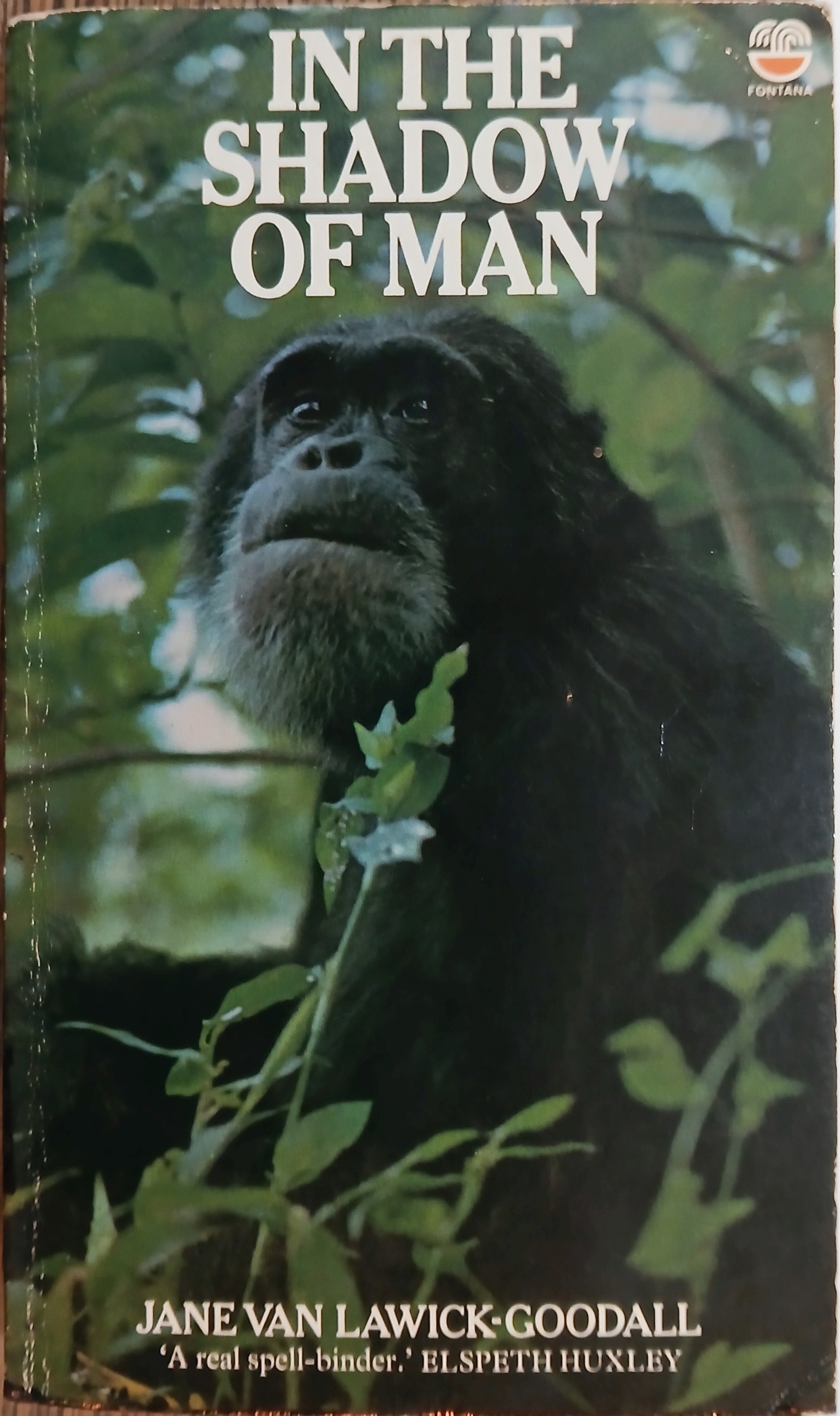 In the Shadow of Man