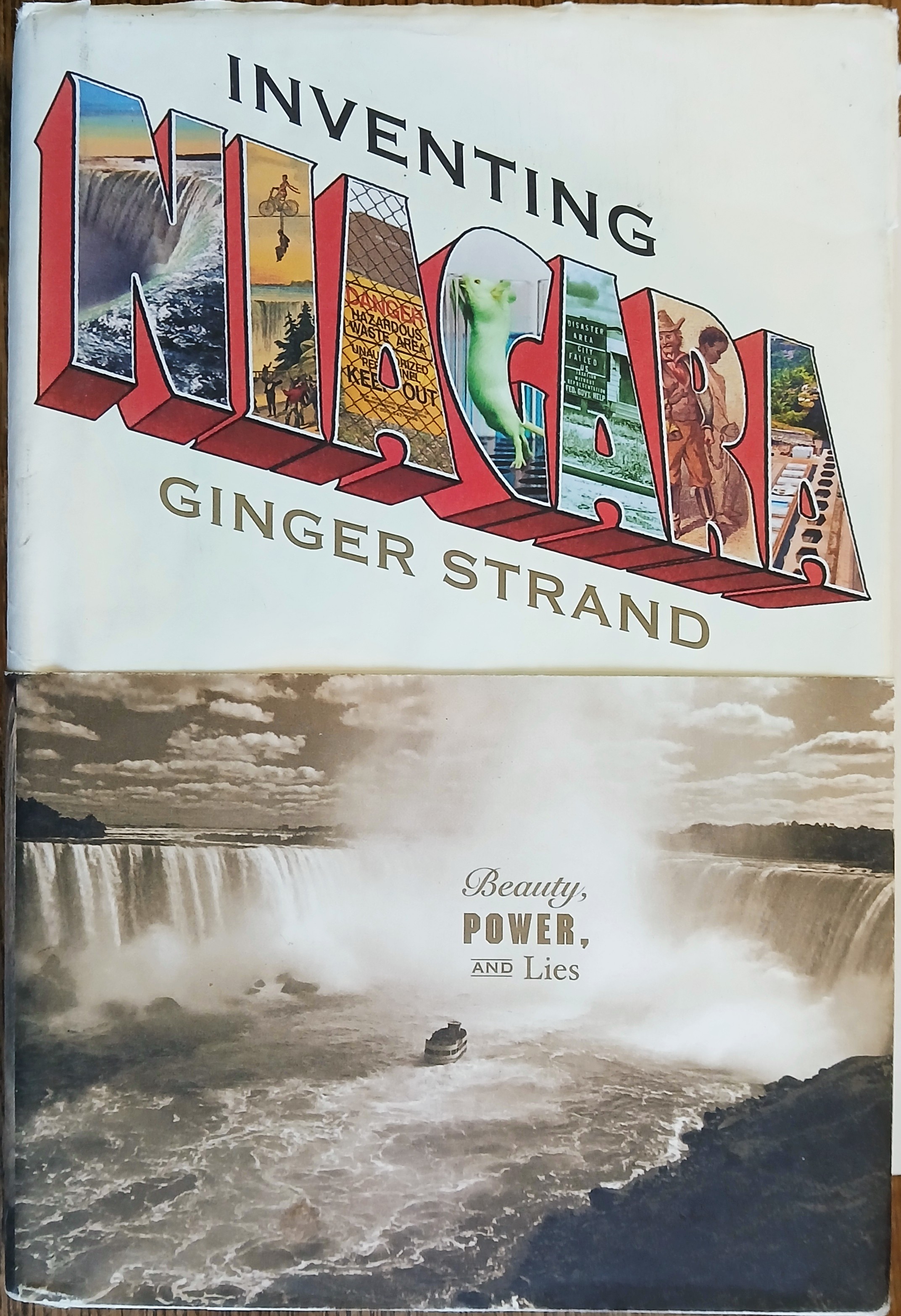 Inventing Niagara: Beauty, Power, and Lies
