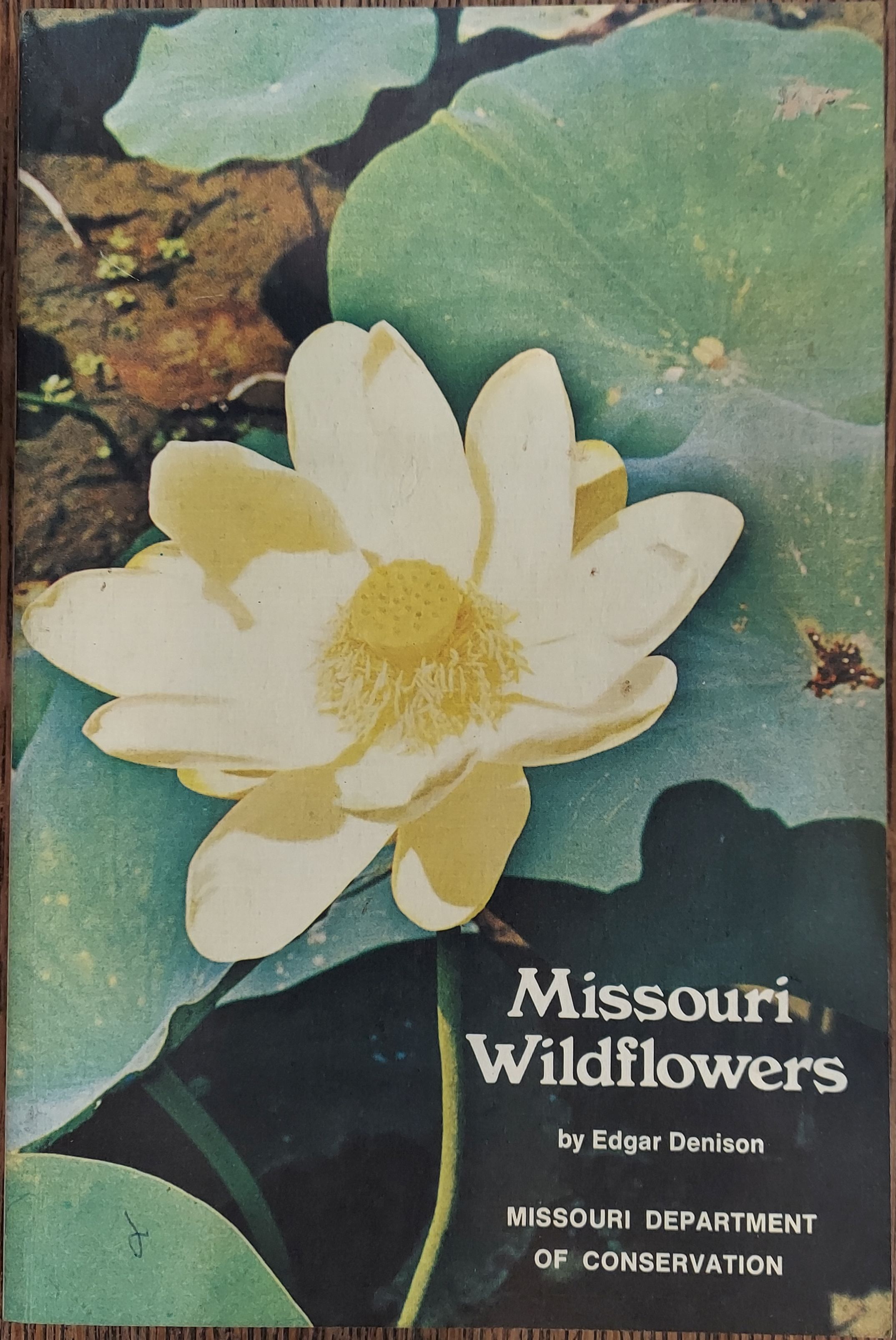 Missouri Wildflowers: A Field Guide to Wildflowers of Missouri and Adjacent Areas