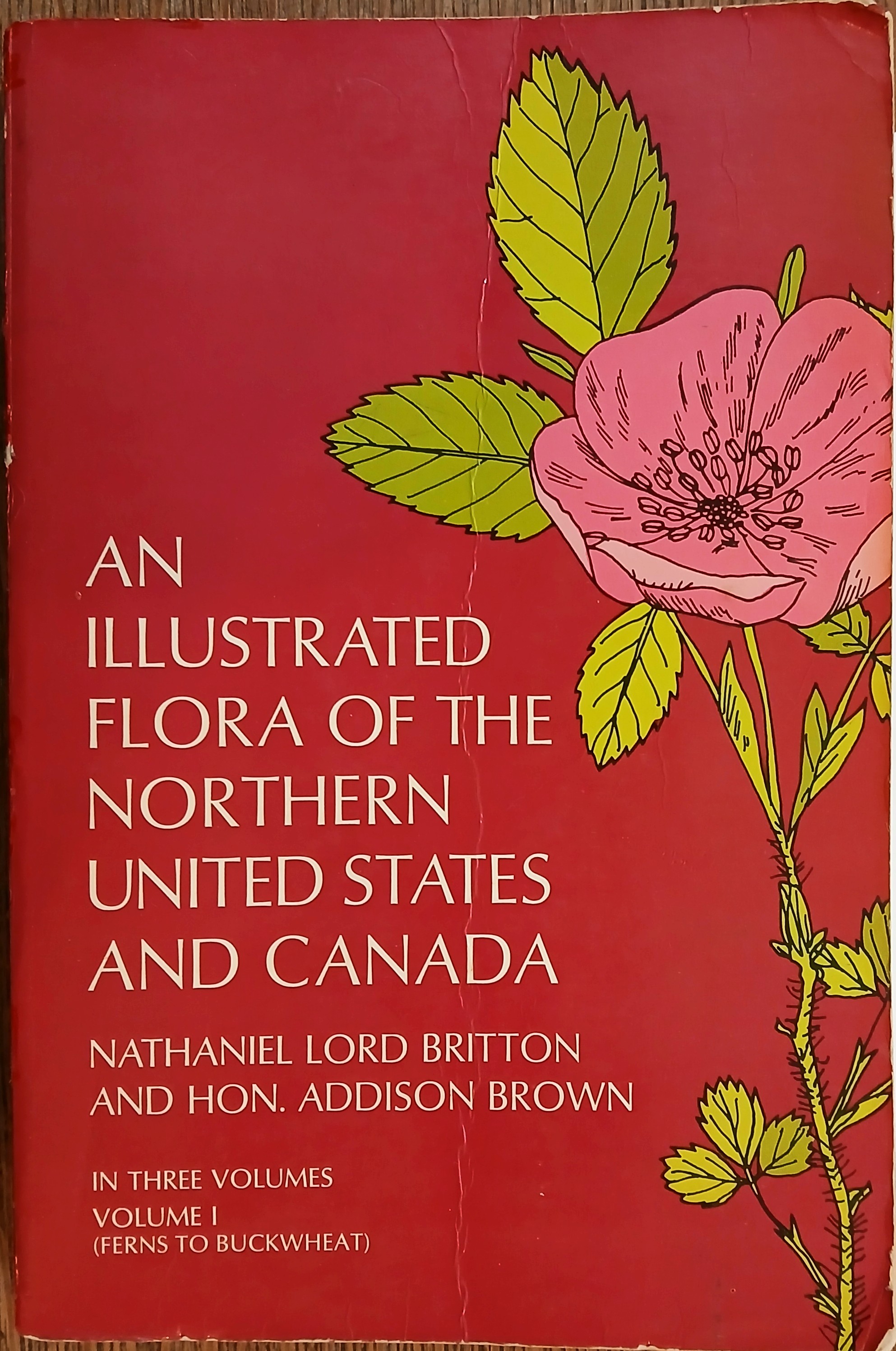 An Illustrated Flora of the Northern United States and Canada Vol. 1 (Ferns to Buckwheat)