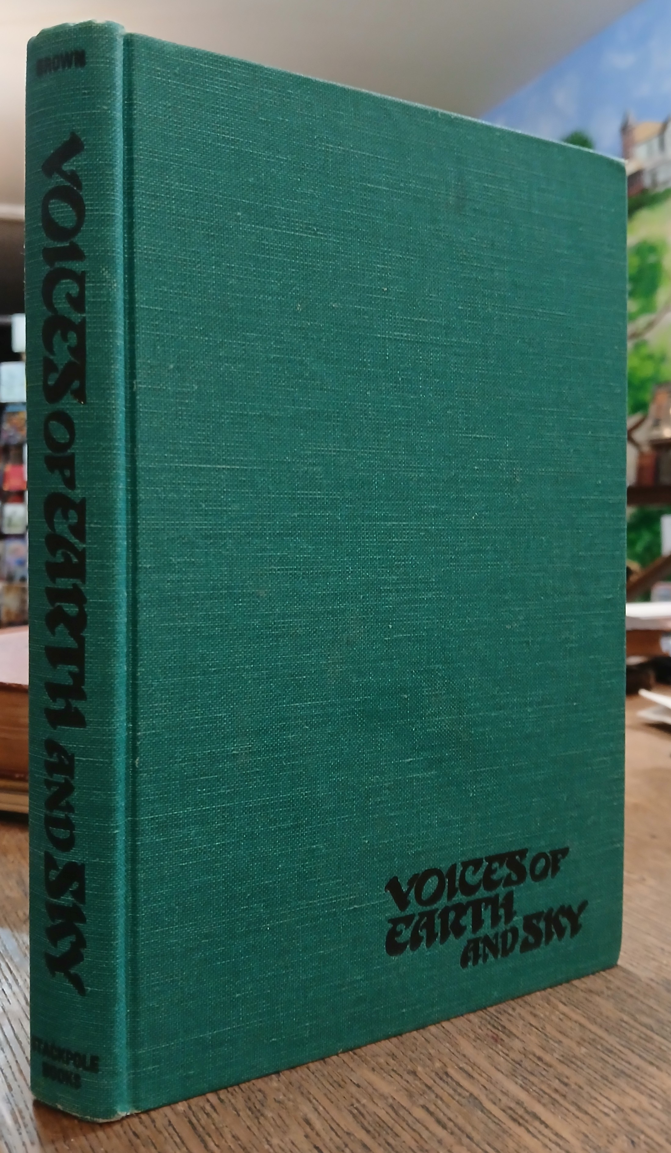 Voices of Earth and Sky: The Vision Life of the Native Americans and Their Culture Heroes