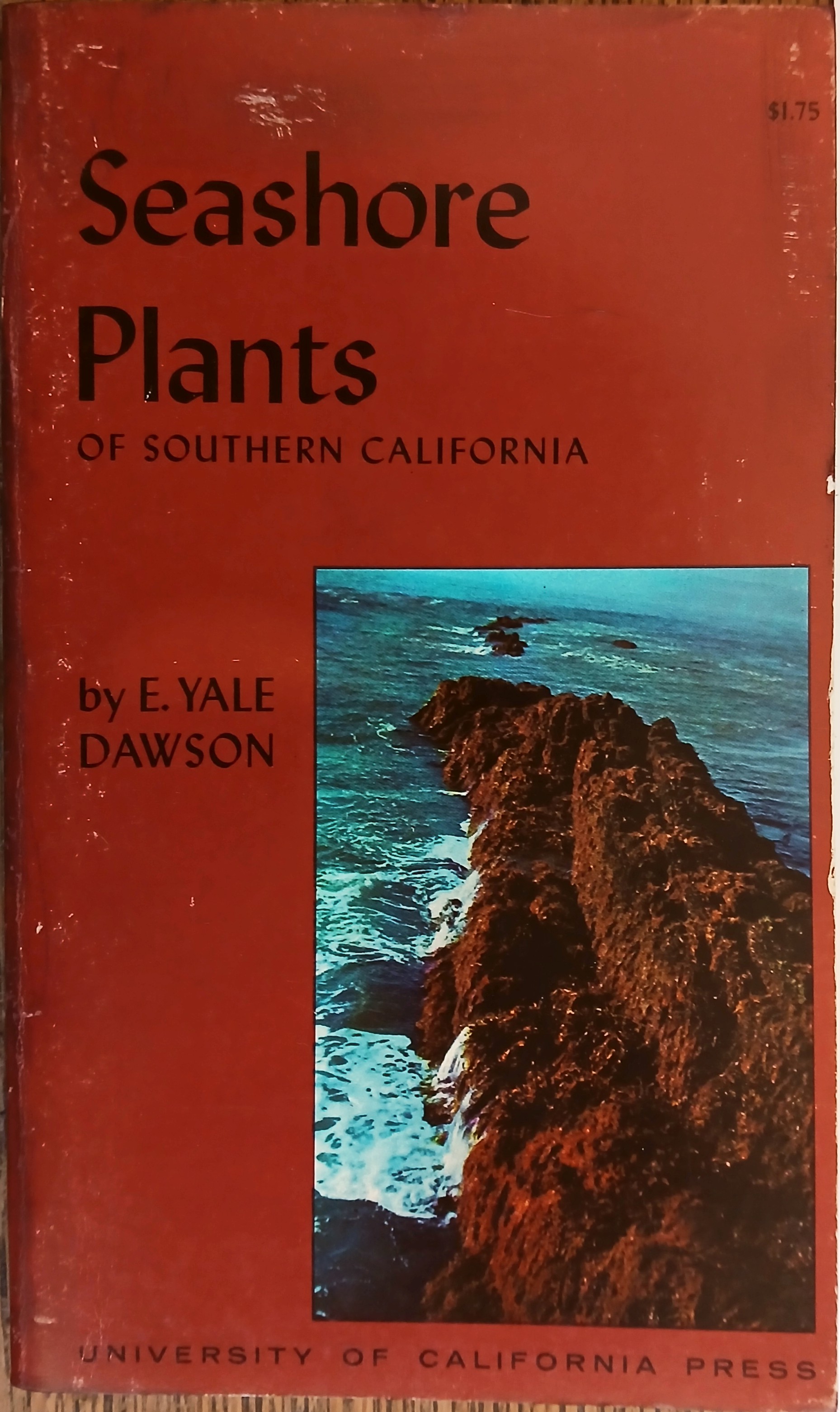 Seashore Plants of Southern California (California Natural History Guides #19)