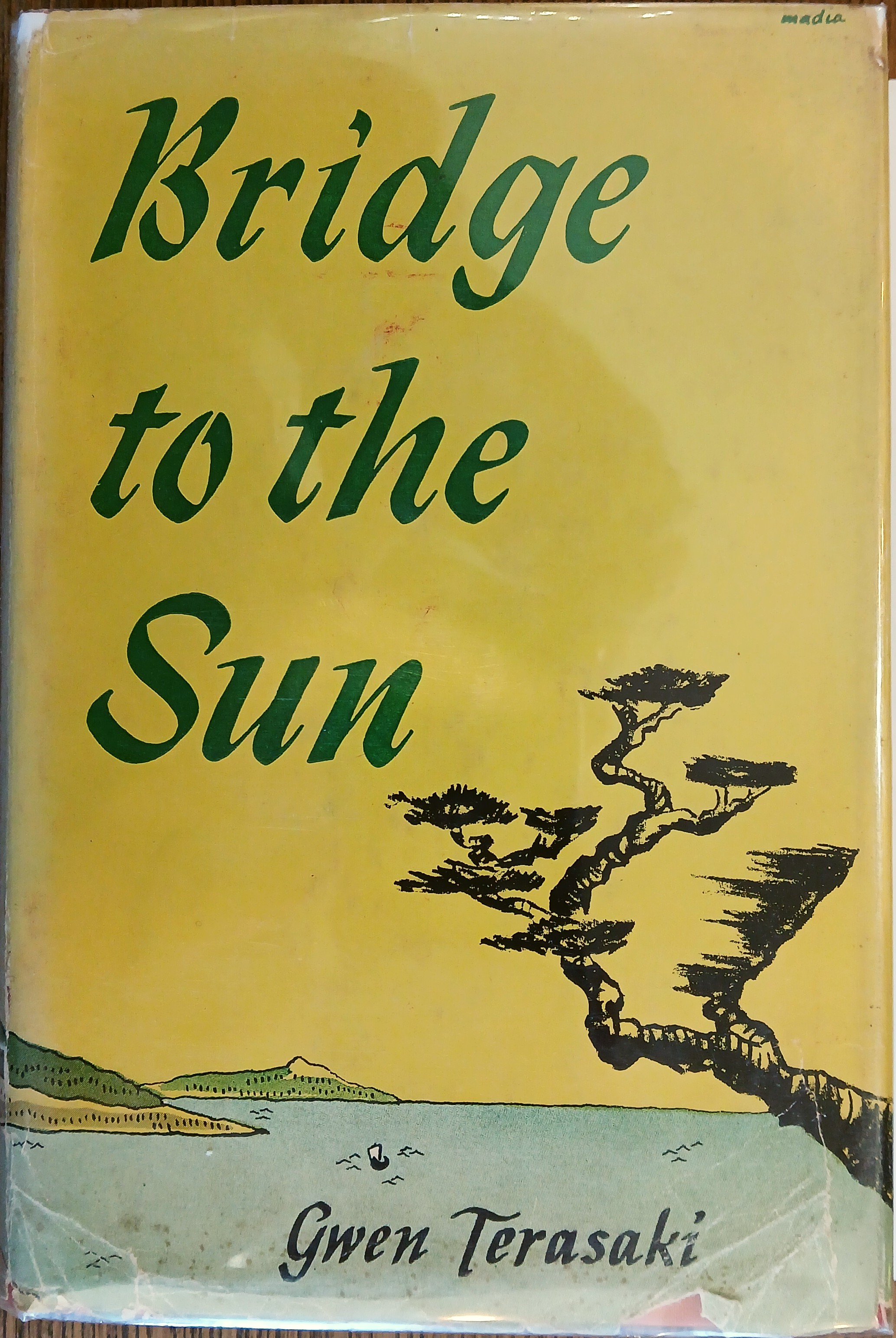 Bridge to the Sun