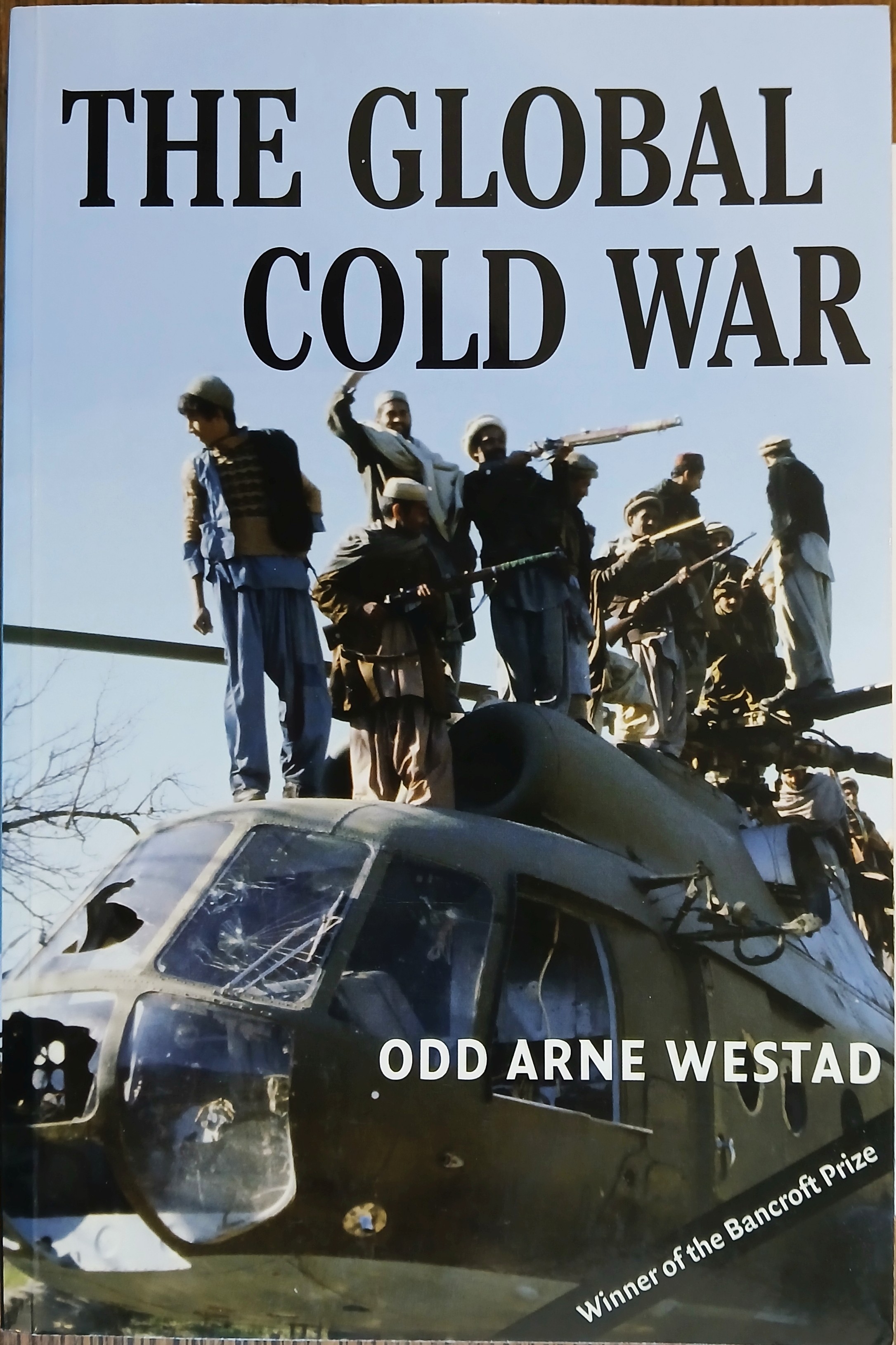The Global Cold War: Third World Interventions and the Making of Our Times
