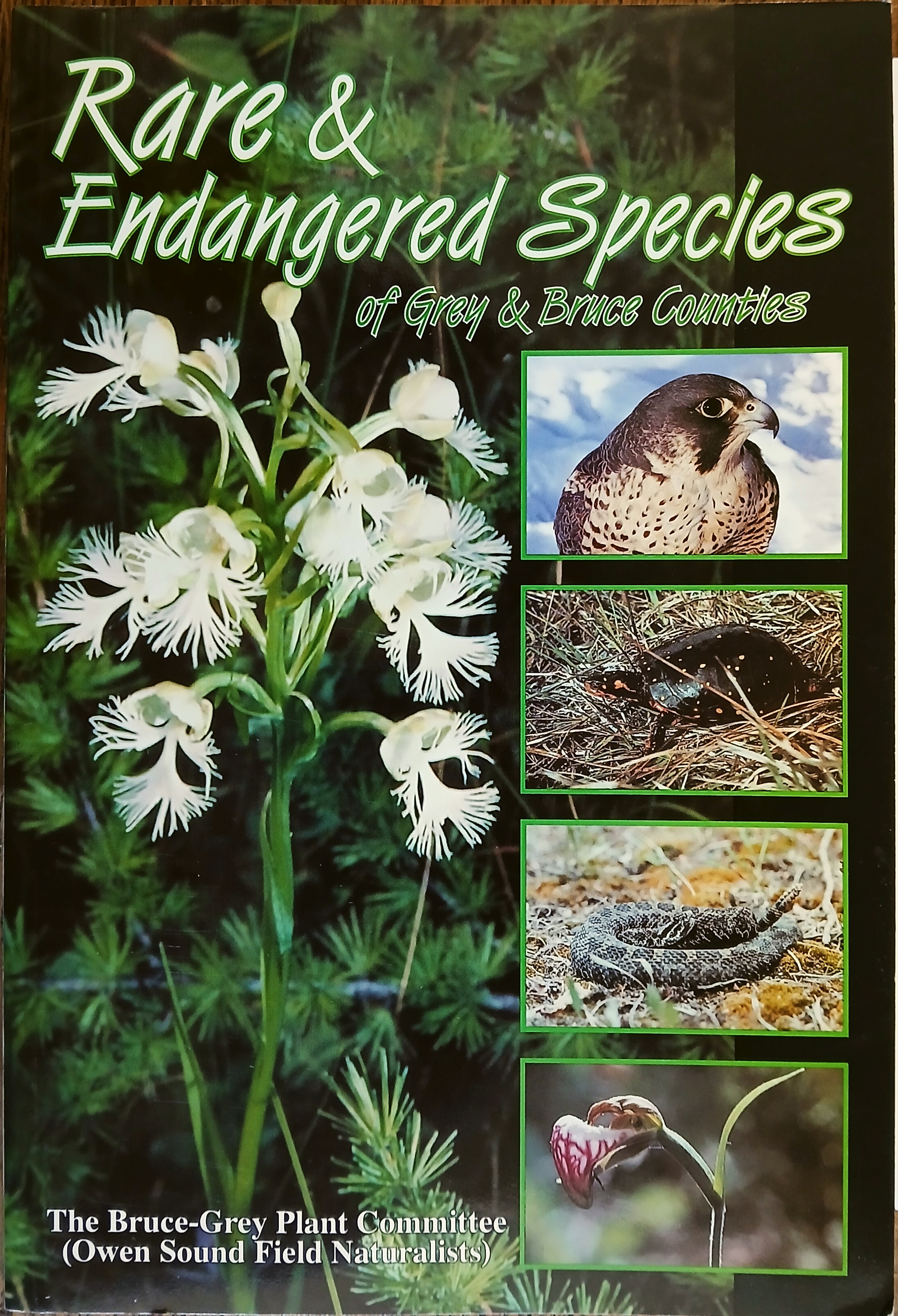 Rare and Endangered Species of Grey and Bruce Counties, Ontario