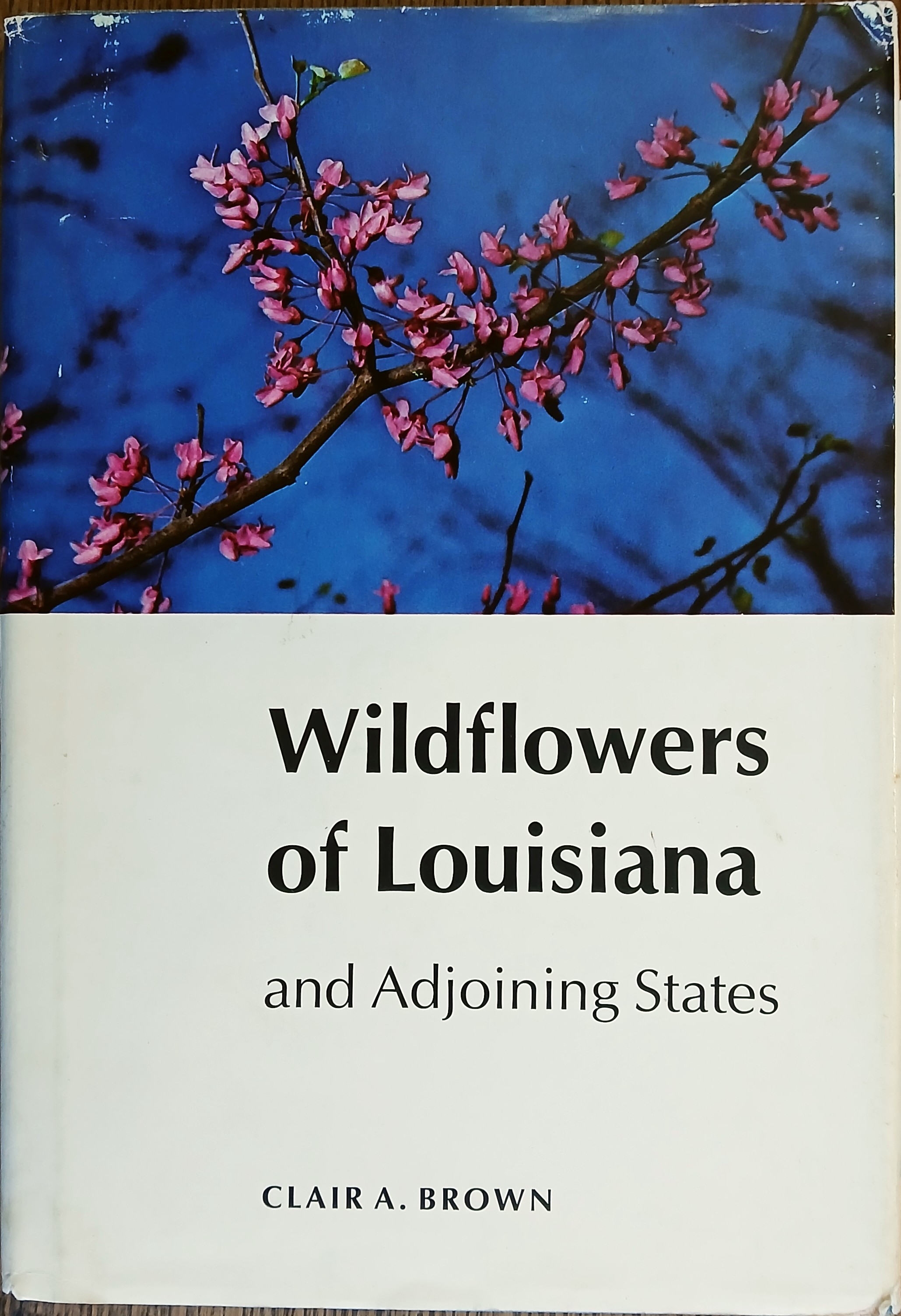 Wildflowers of Louisiana and Adjoining States