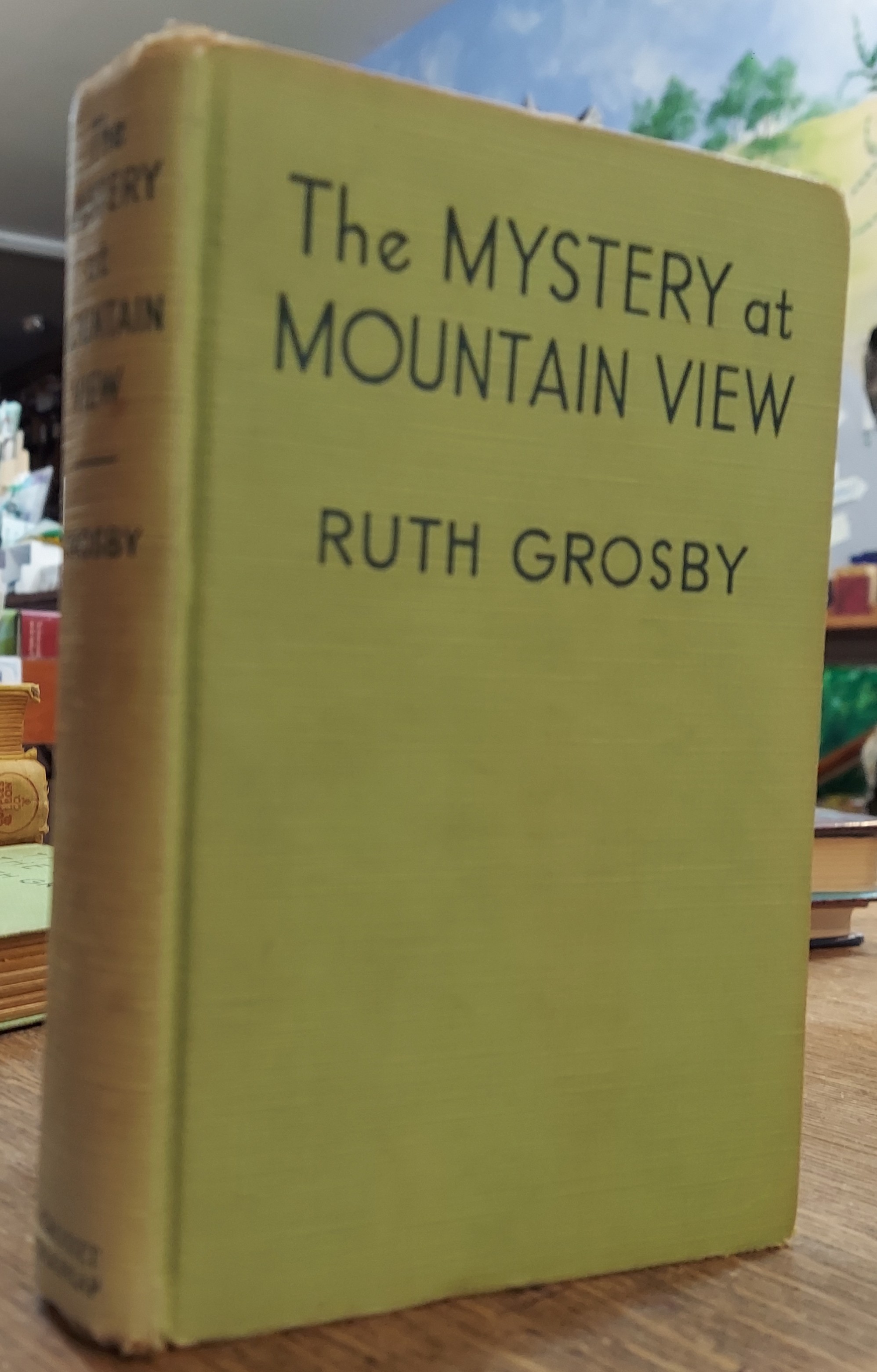 The Mystery at Mountain View