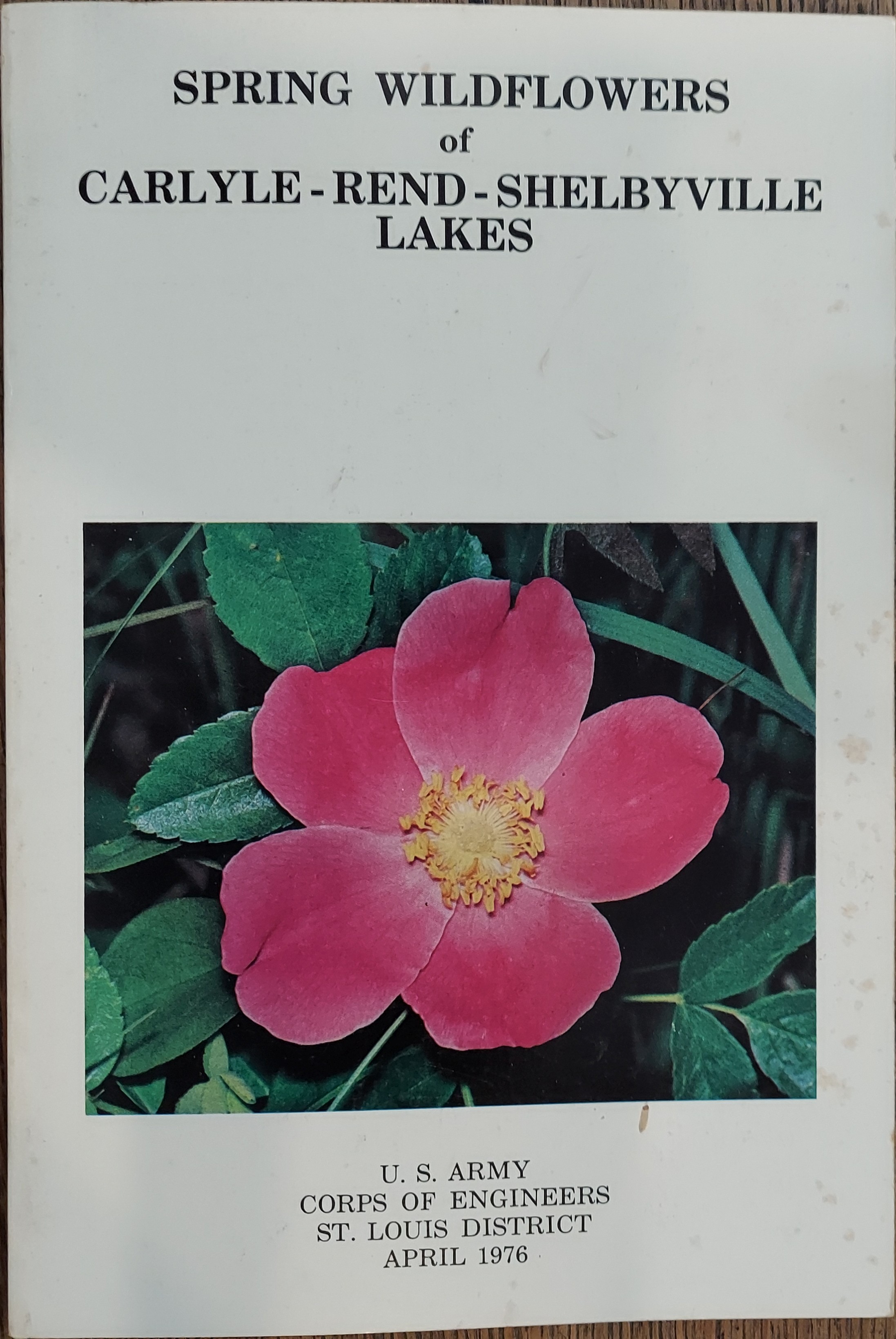 Spring Wildflowers of Carlyle Rend Shelbyville Lakes