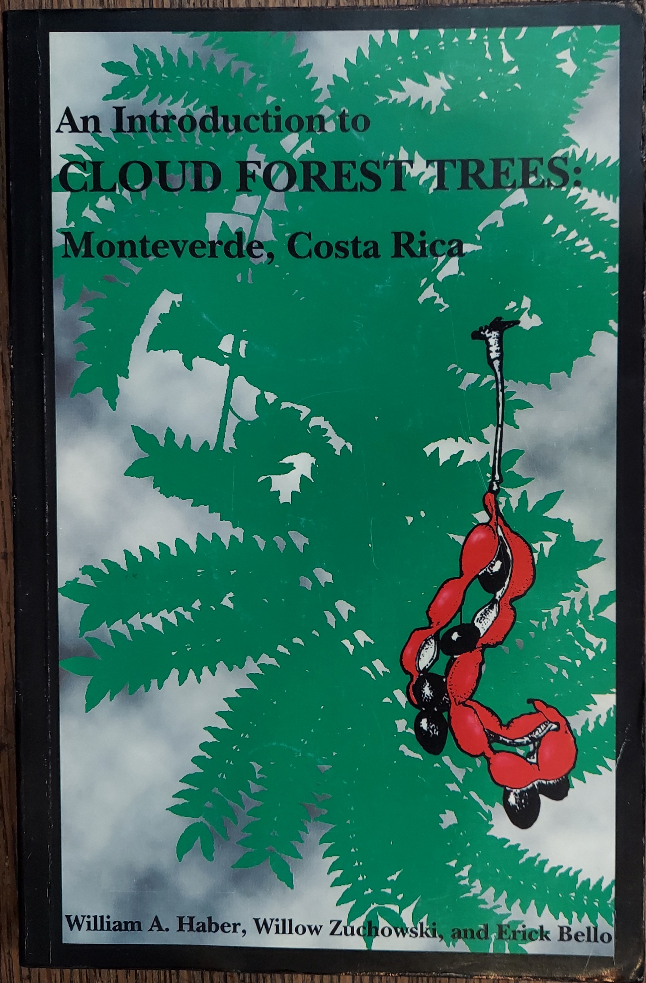 An Introduction to Cloud Forest Trees: Monteverde, Costa Rica