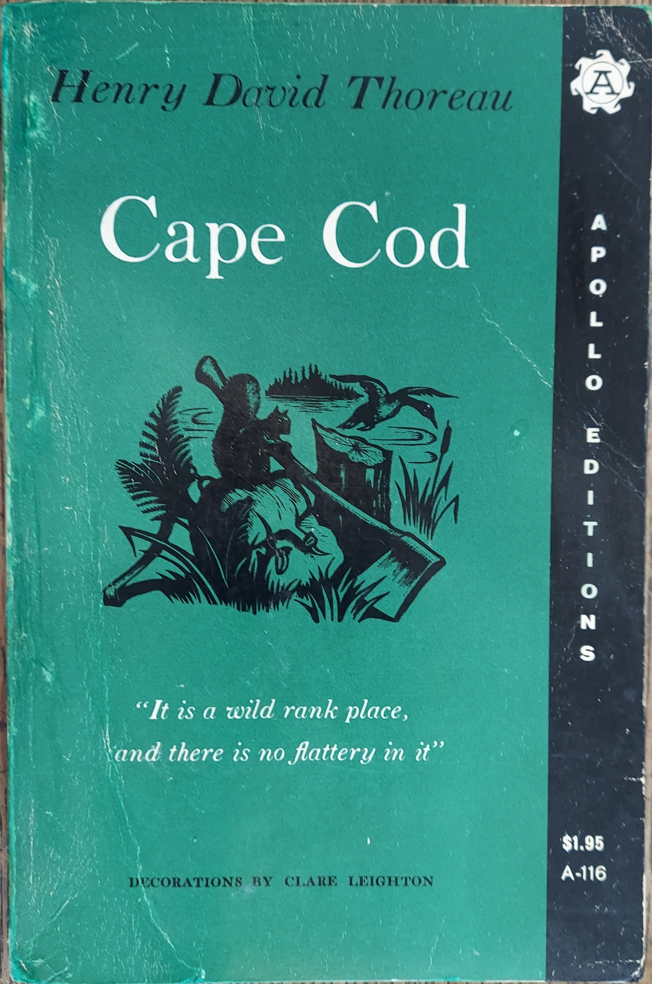 Cape Cod